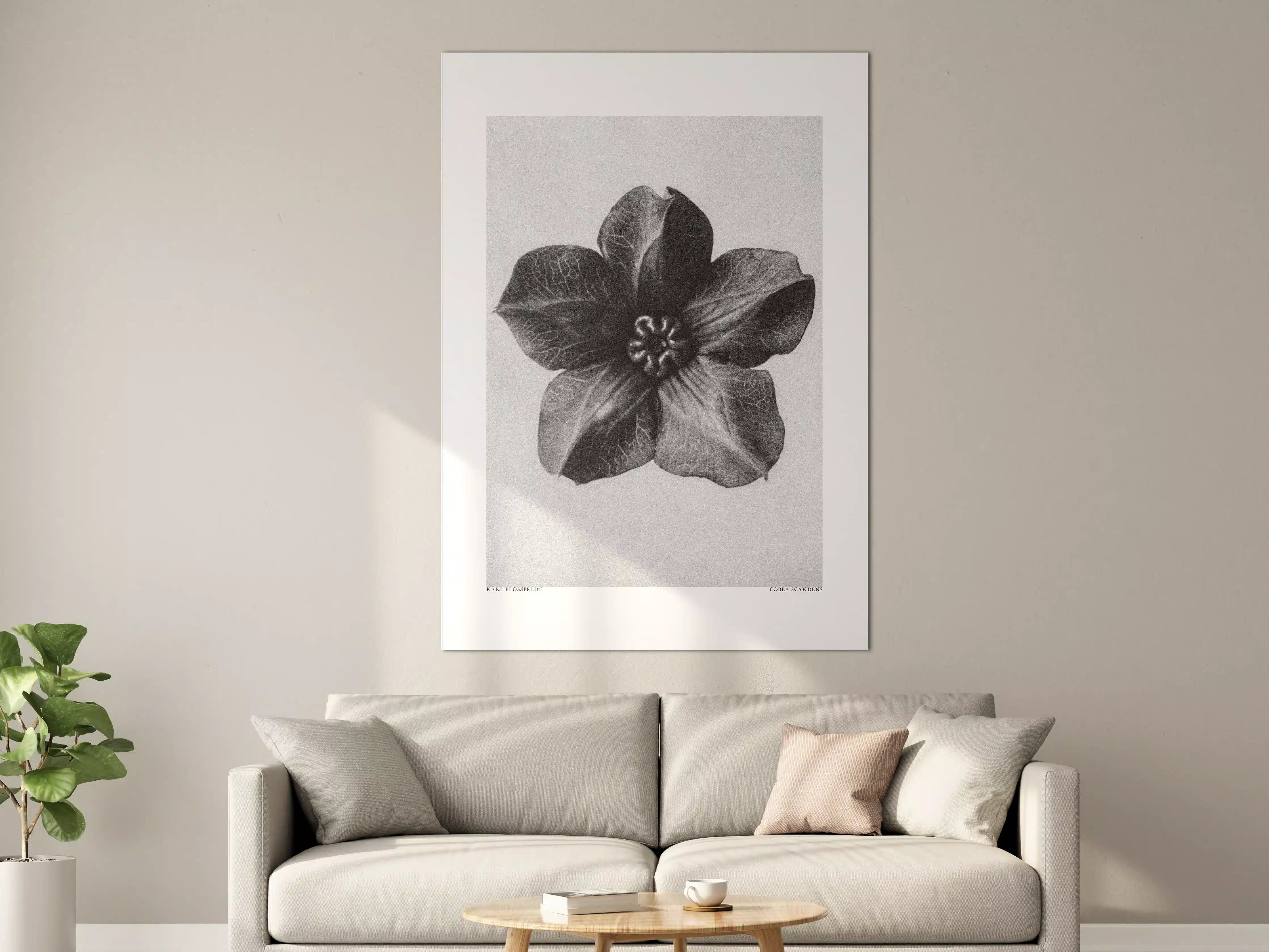 Große Wandbilder - Schwarz-Weiß-Blumen-Illusion