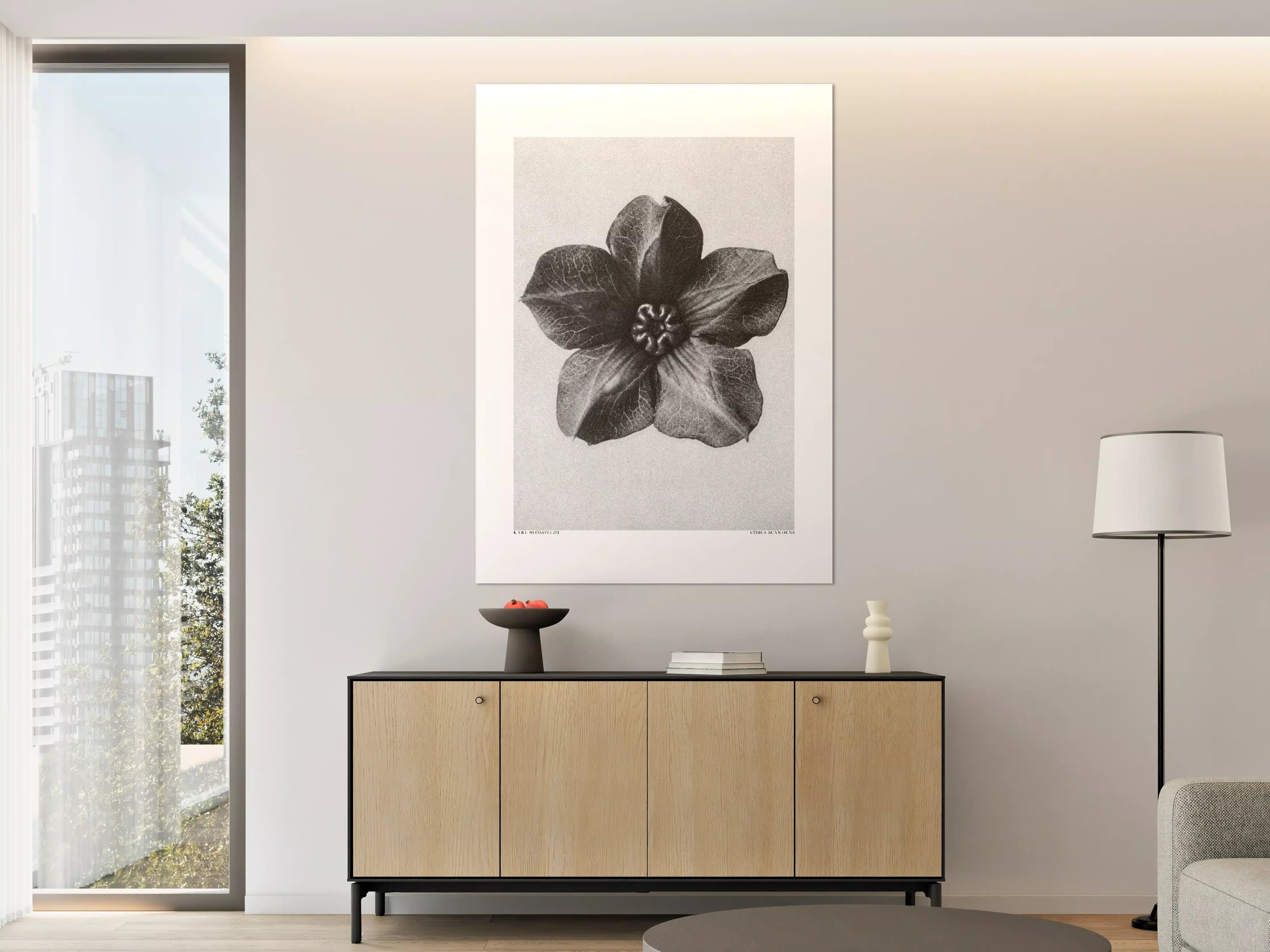 Große Wandbilder - Schwarz-Weiß-Blumen-Illusion