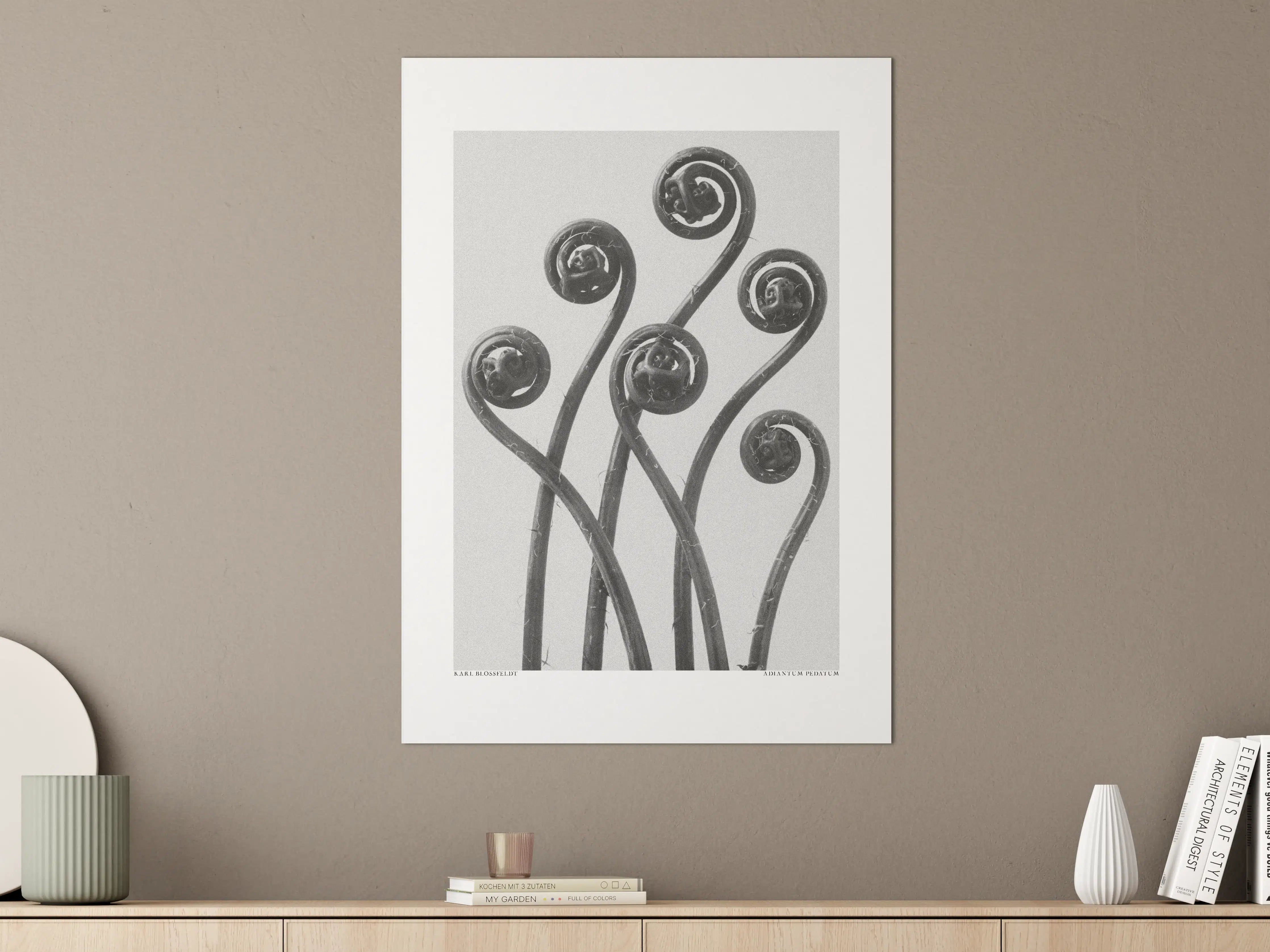 Große Wandbilder - Schwarz-Weiß Blumendesign
