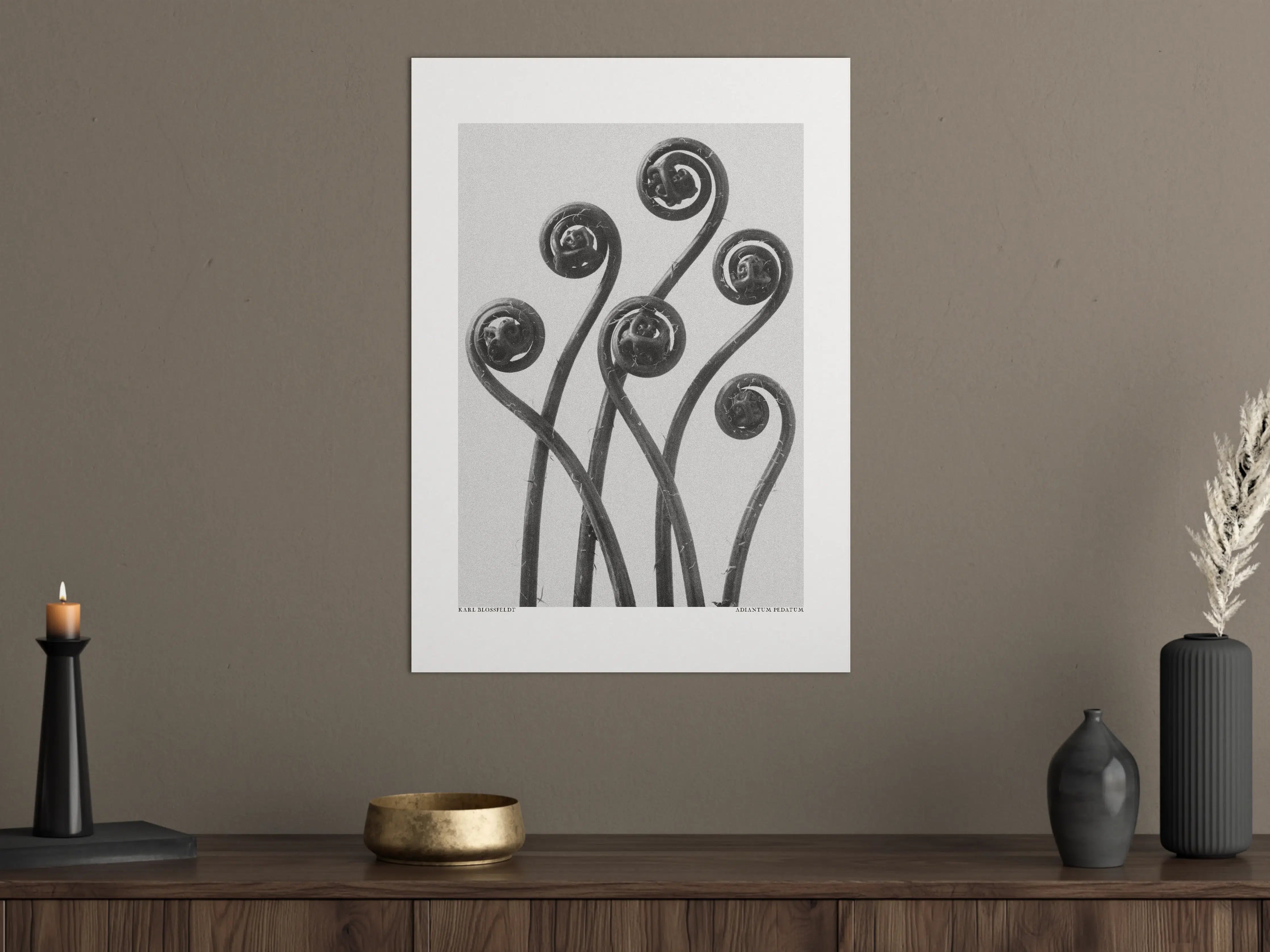 Große Wandbilder - Schwarz-Weiß Blumendesign