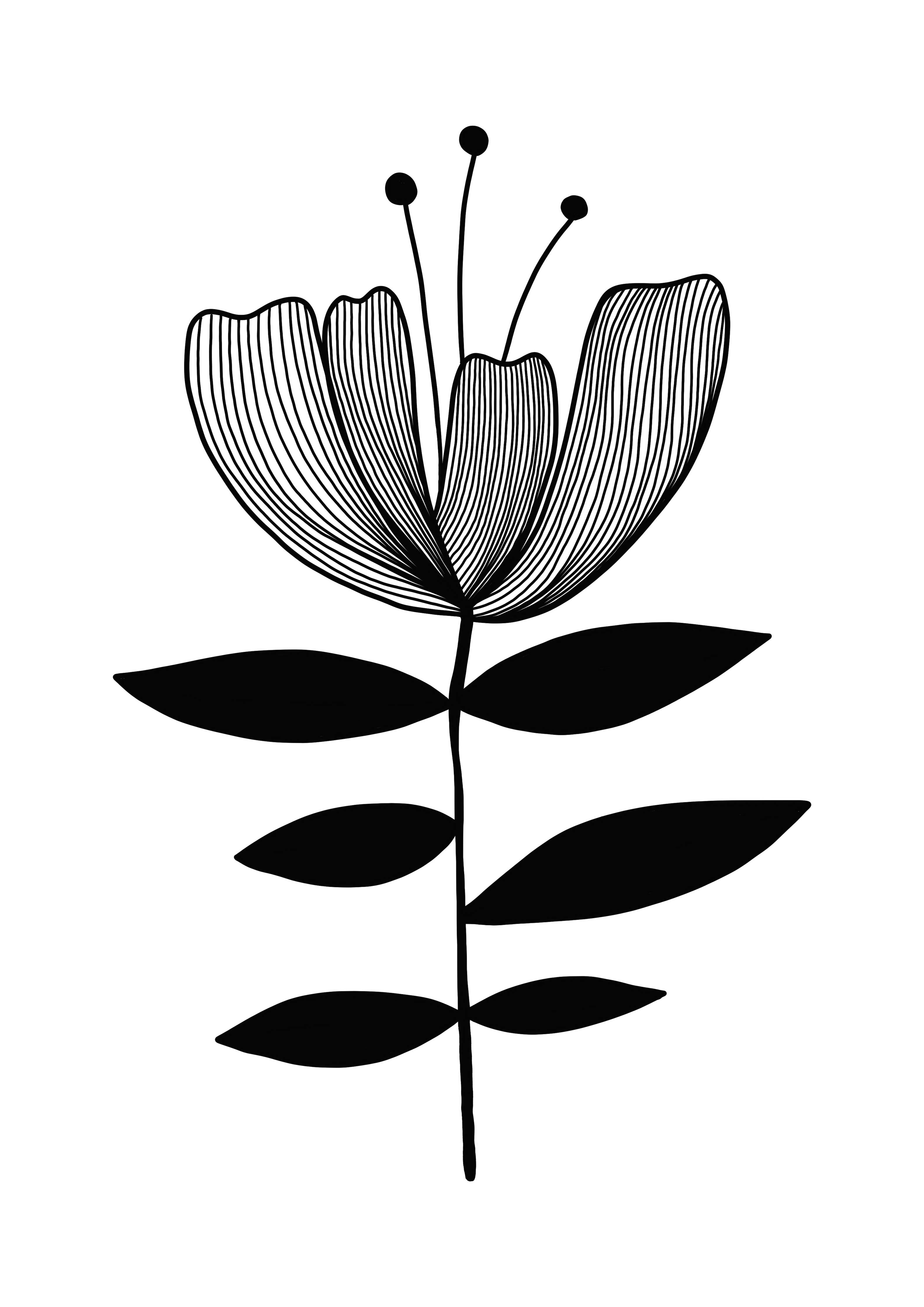 Große Wandbilder-Schwarz-Weiß-Blumenmotiv
