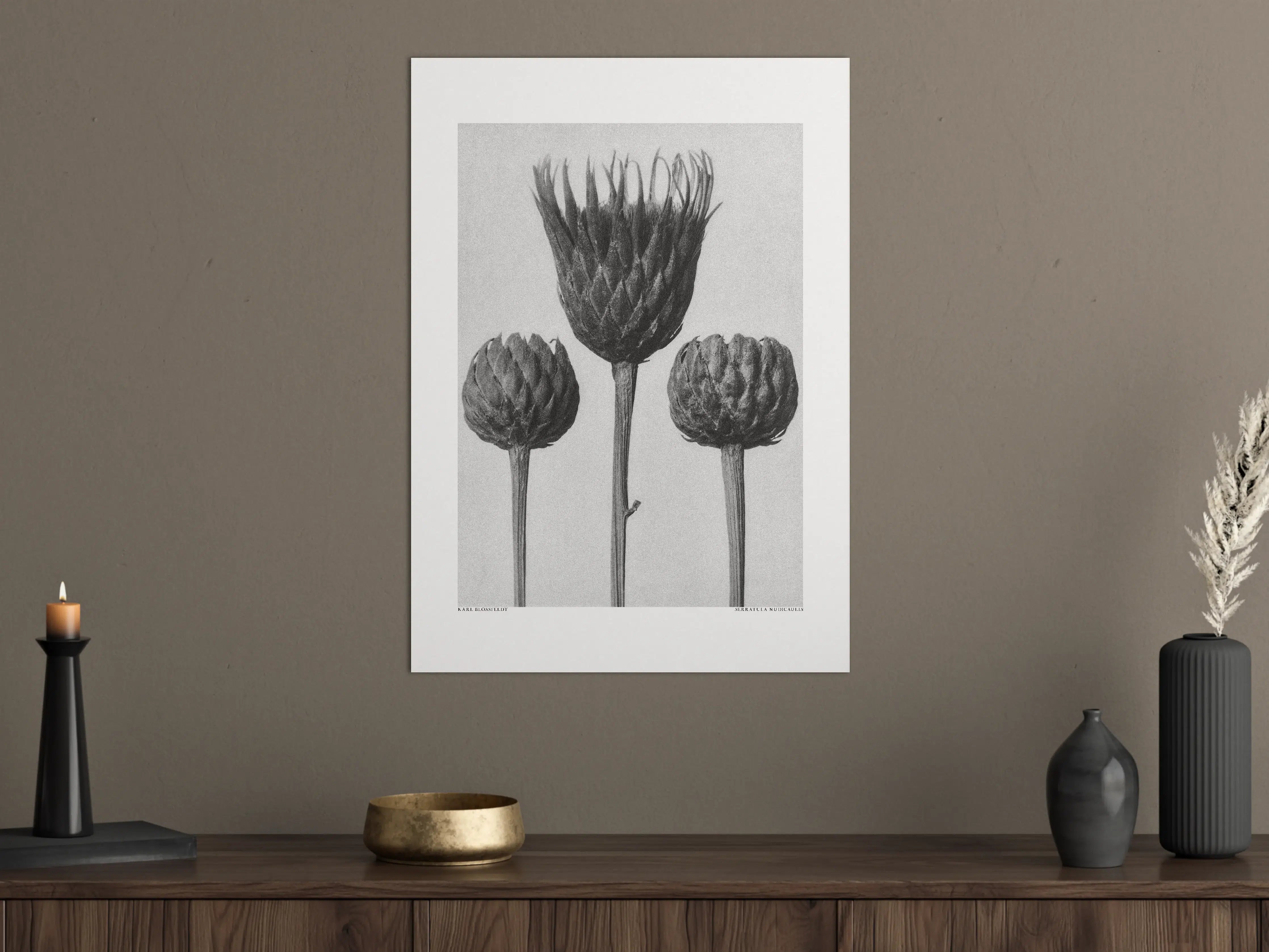 Große Wandbilder - Schwarz-Weiß Blumenthema mit künstlerischer Eleganz
