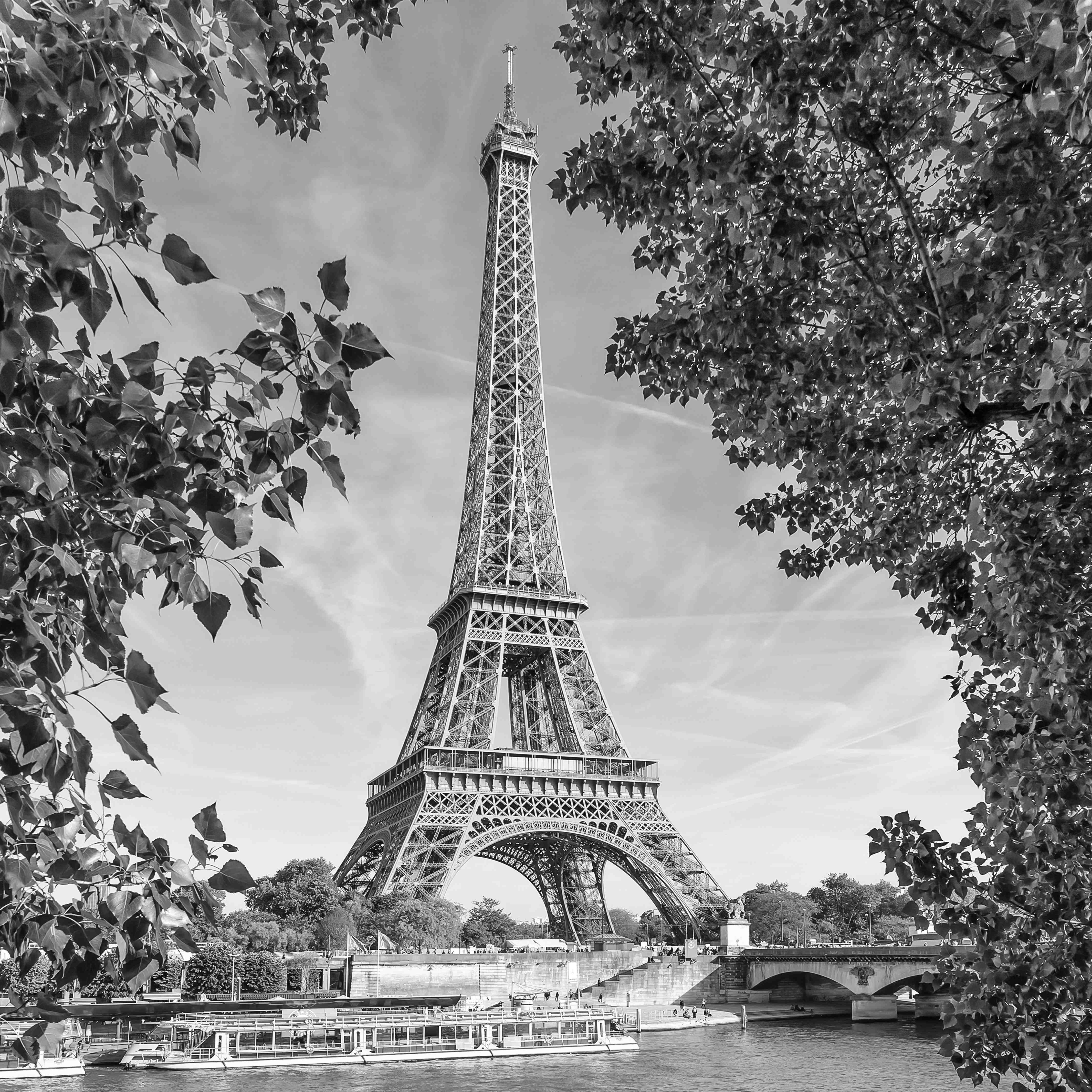 Große Wandbilder-Schwarz-Weiß Eiffel Tower | Paris Scene