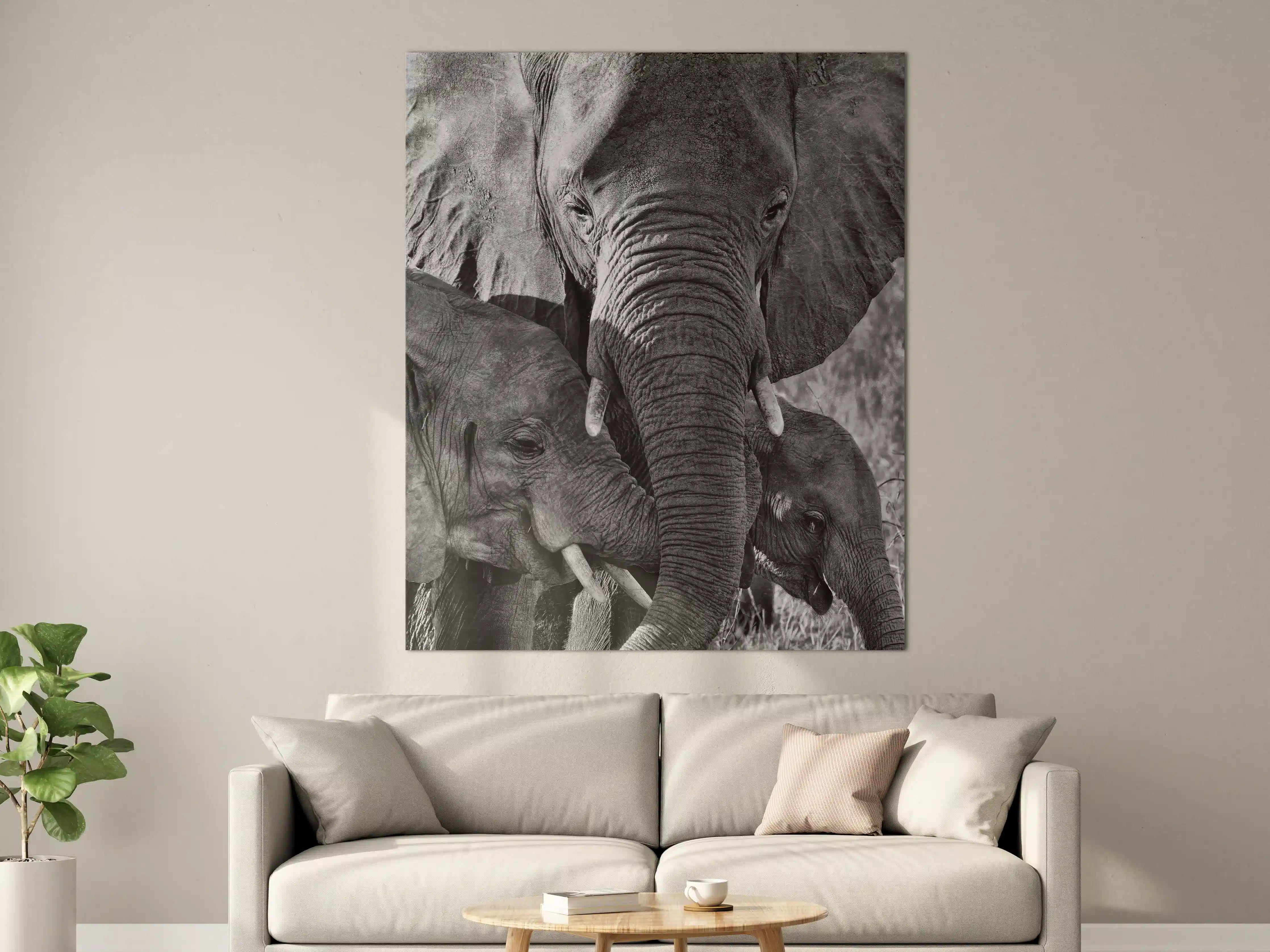 Große Wandbilder - Schwarz-Weiß Elefantenjagd