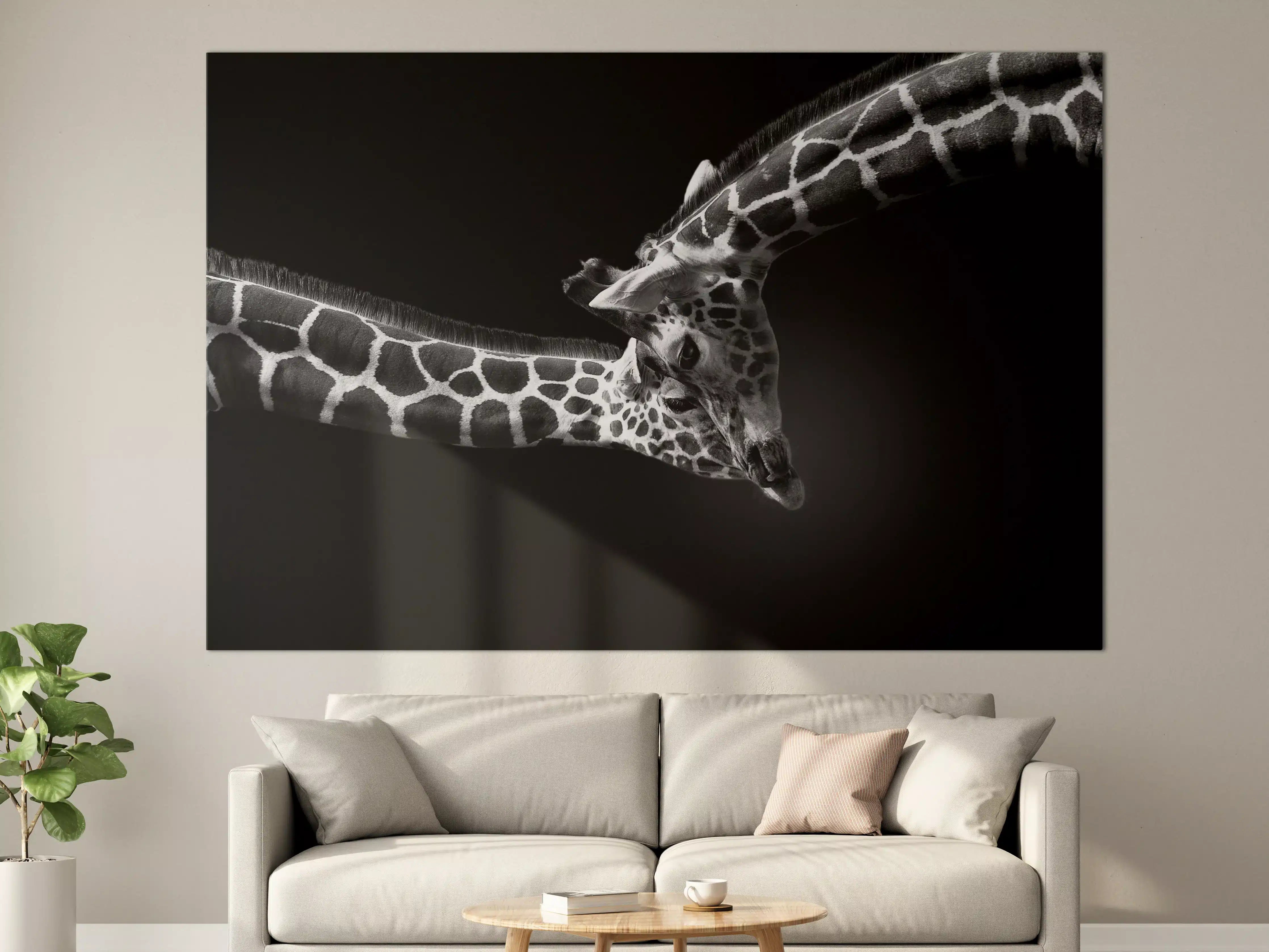 Große Wandbilder - Schwarz-Weiß-Giraffe in Bewegung