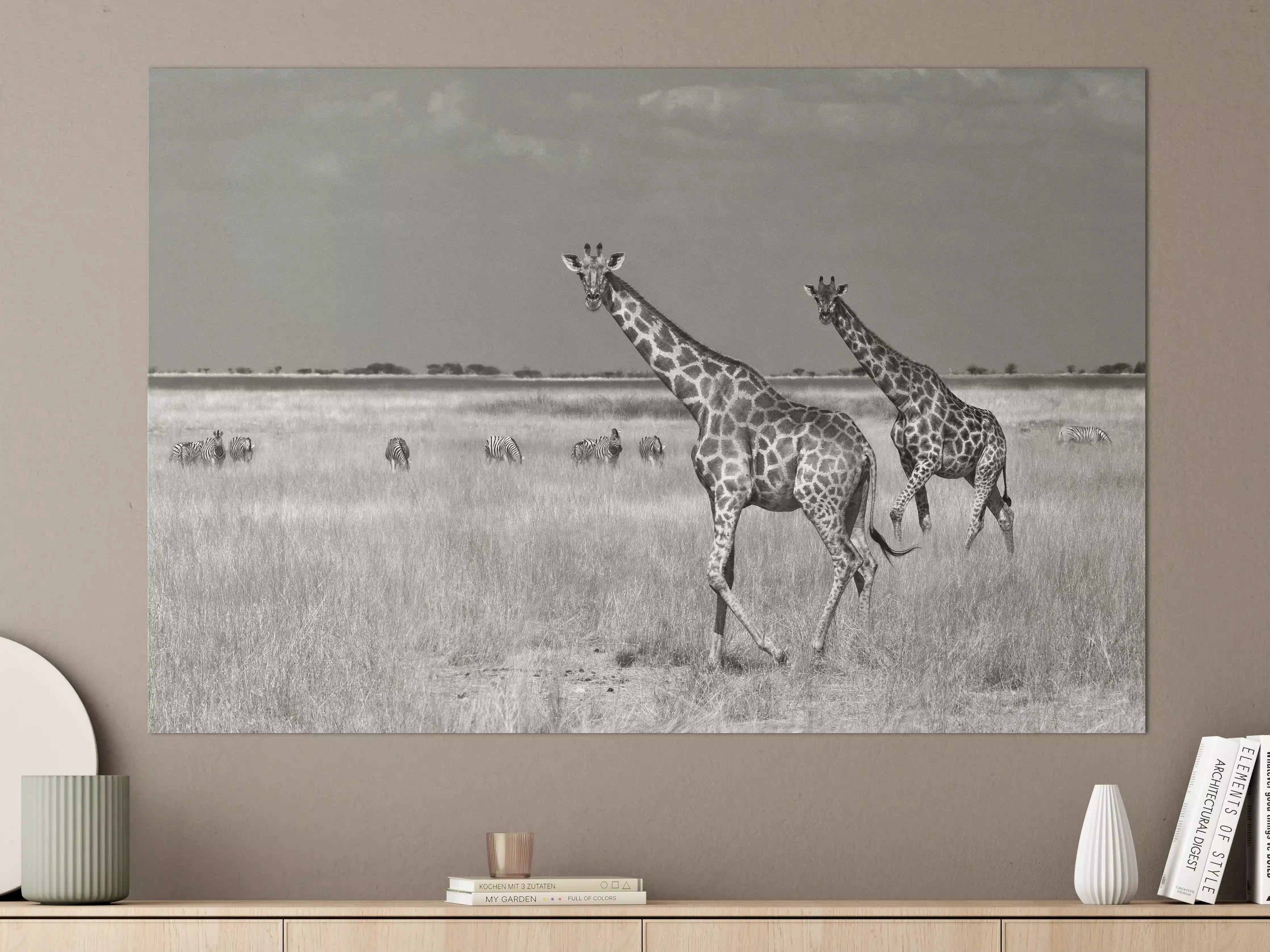 Große Wandbilder - Schwarz-Weiß-Giraffen in der Steppe