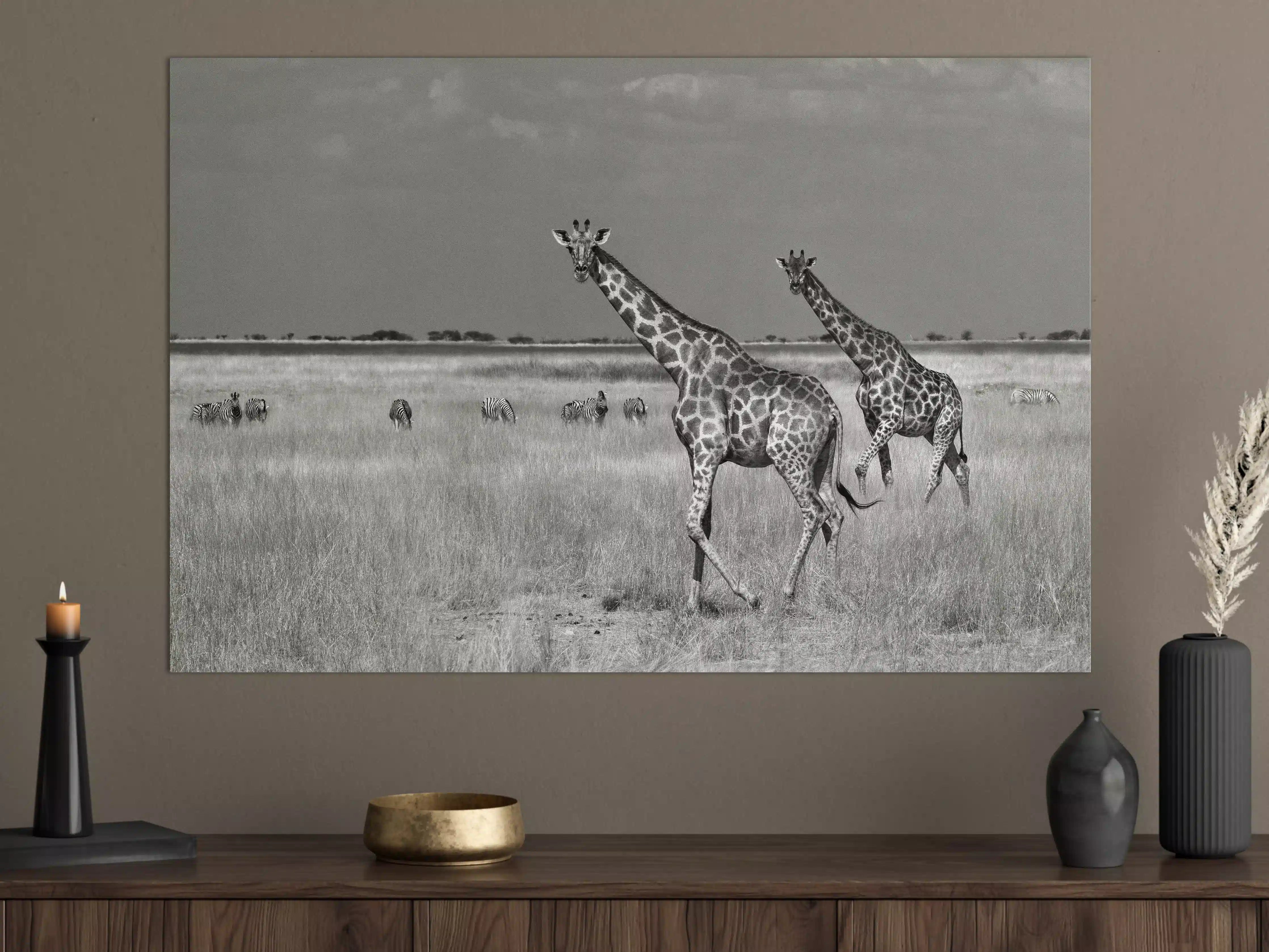 Große Wandbilder - Schwarz-Weiß-Giraffen in der Steppe