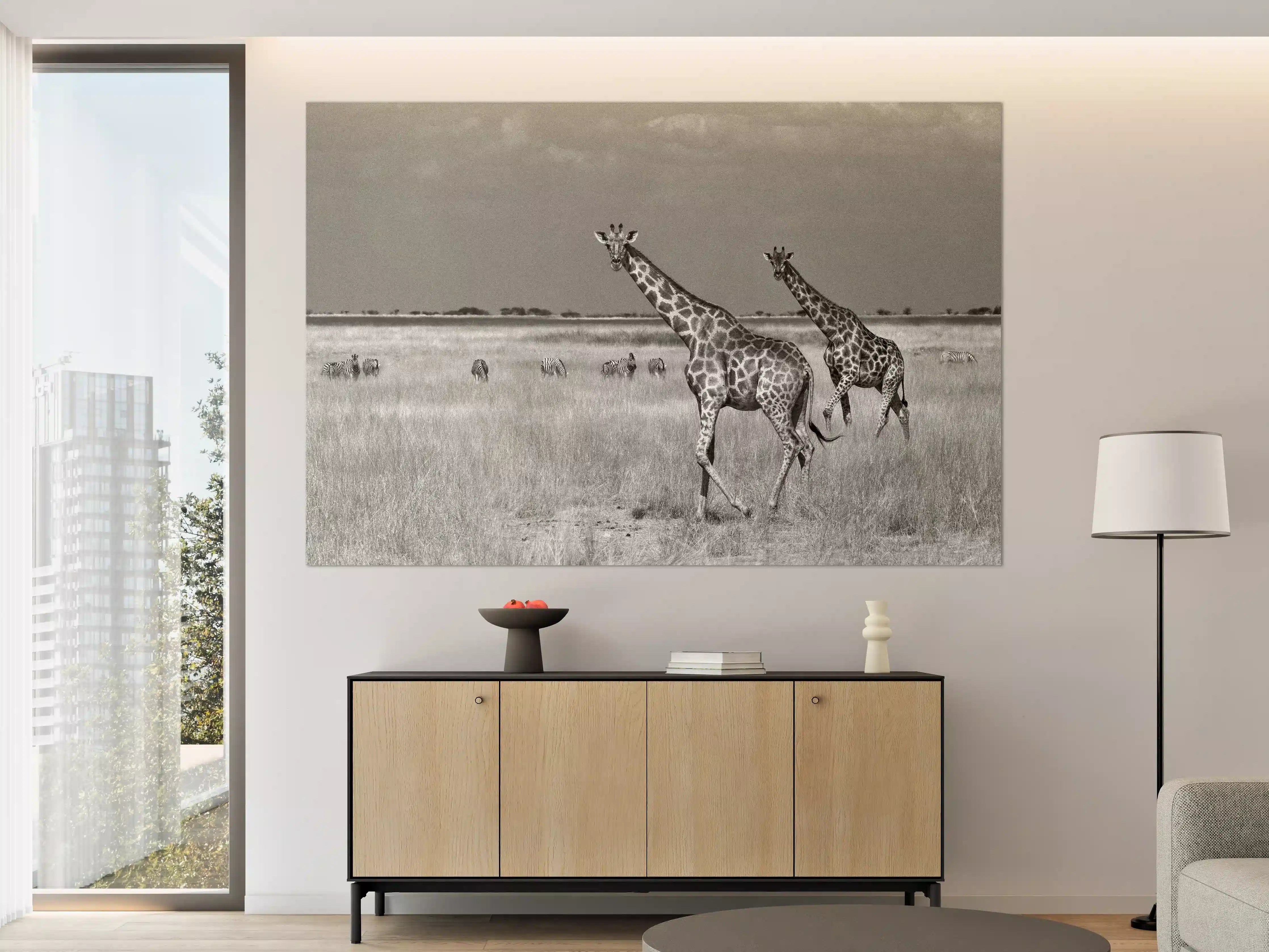 Große Wandbilder - Schwarz-Weiß-Giraffen in der Steppe