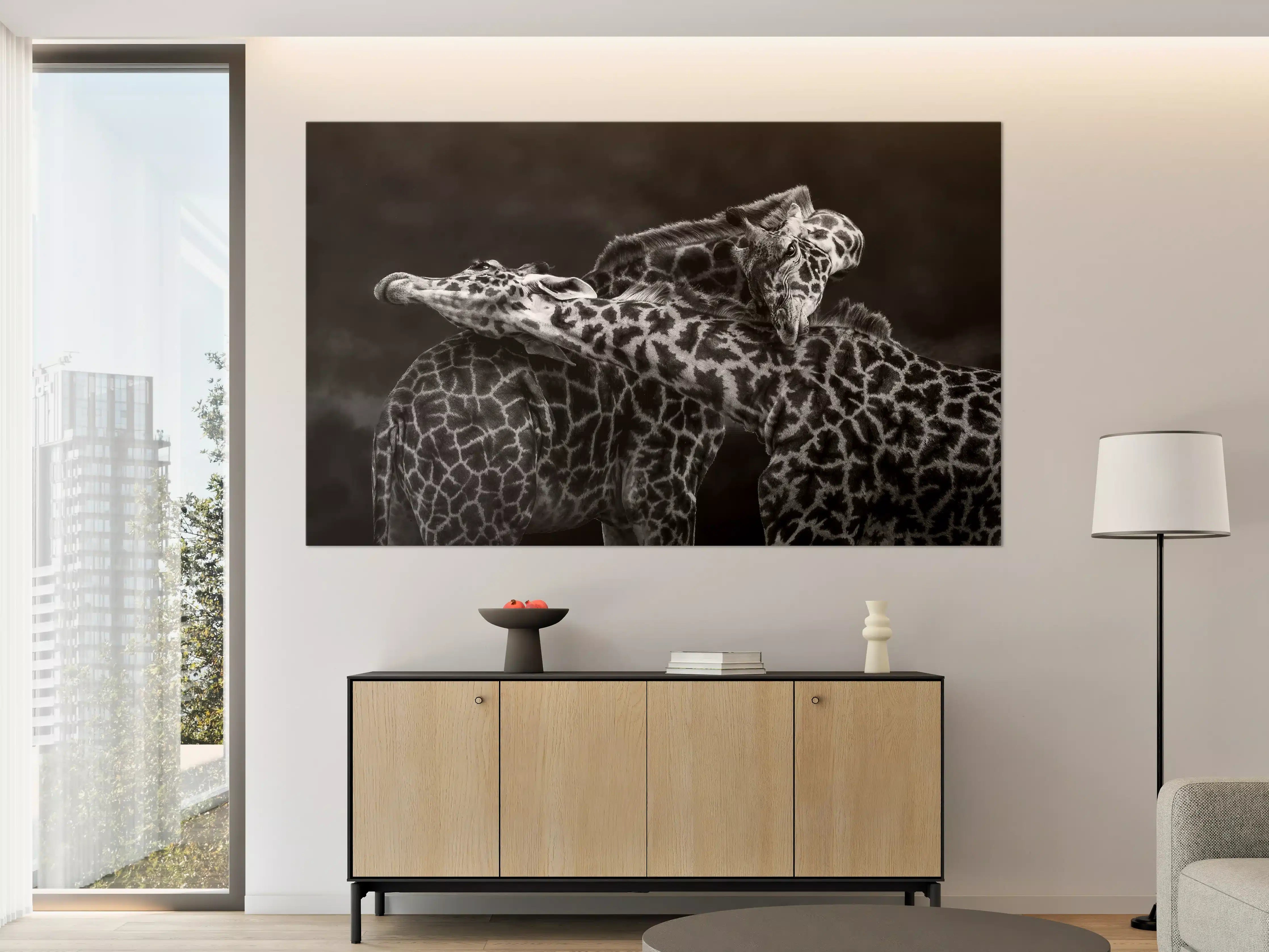 Große Wandbilder - Schwarz-Weiß-Giraffen in inniger Umarmung