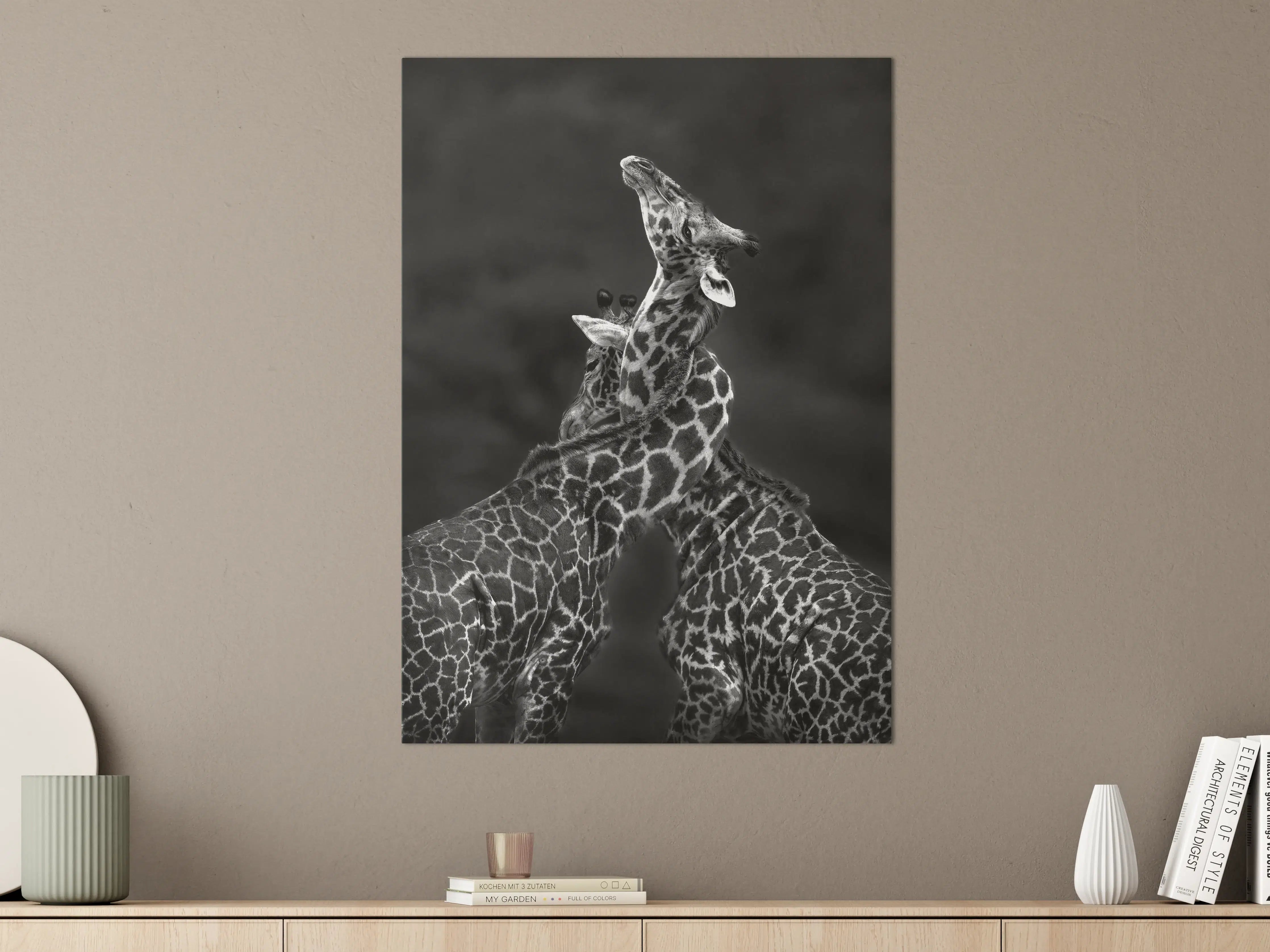 Große Wandbilder - Schwarz-Weiß-Giraffen in natürlicher Pose
