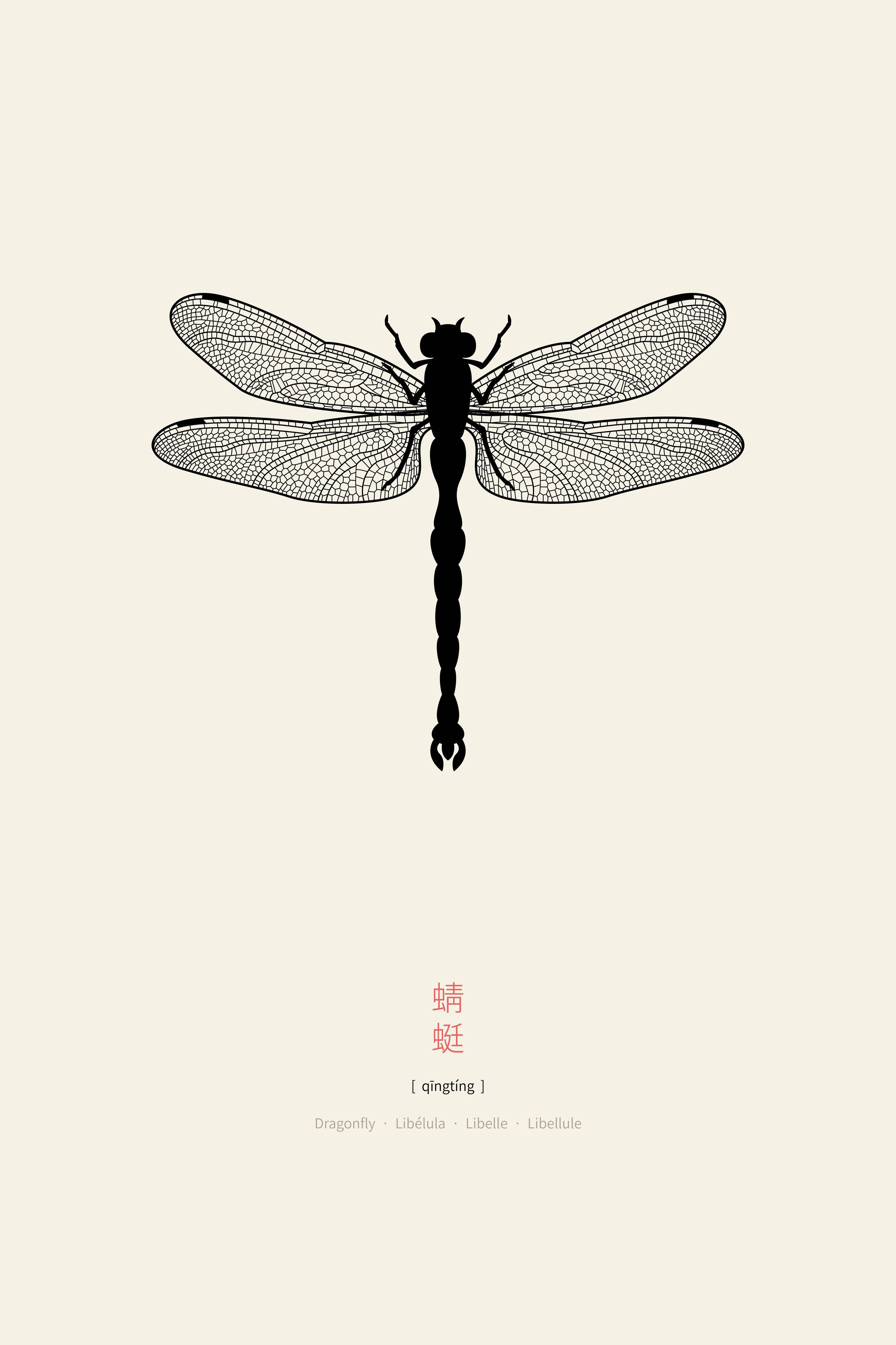 Große Wandbilder-Schwarz-Weiß Libelle Illustration