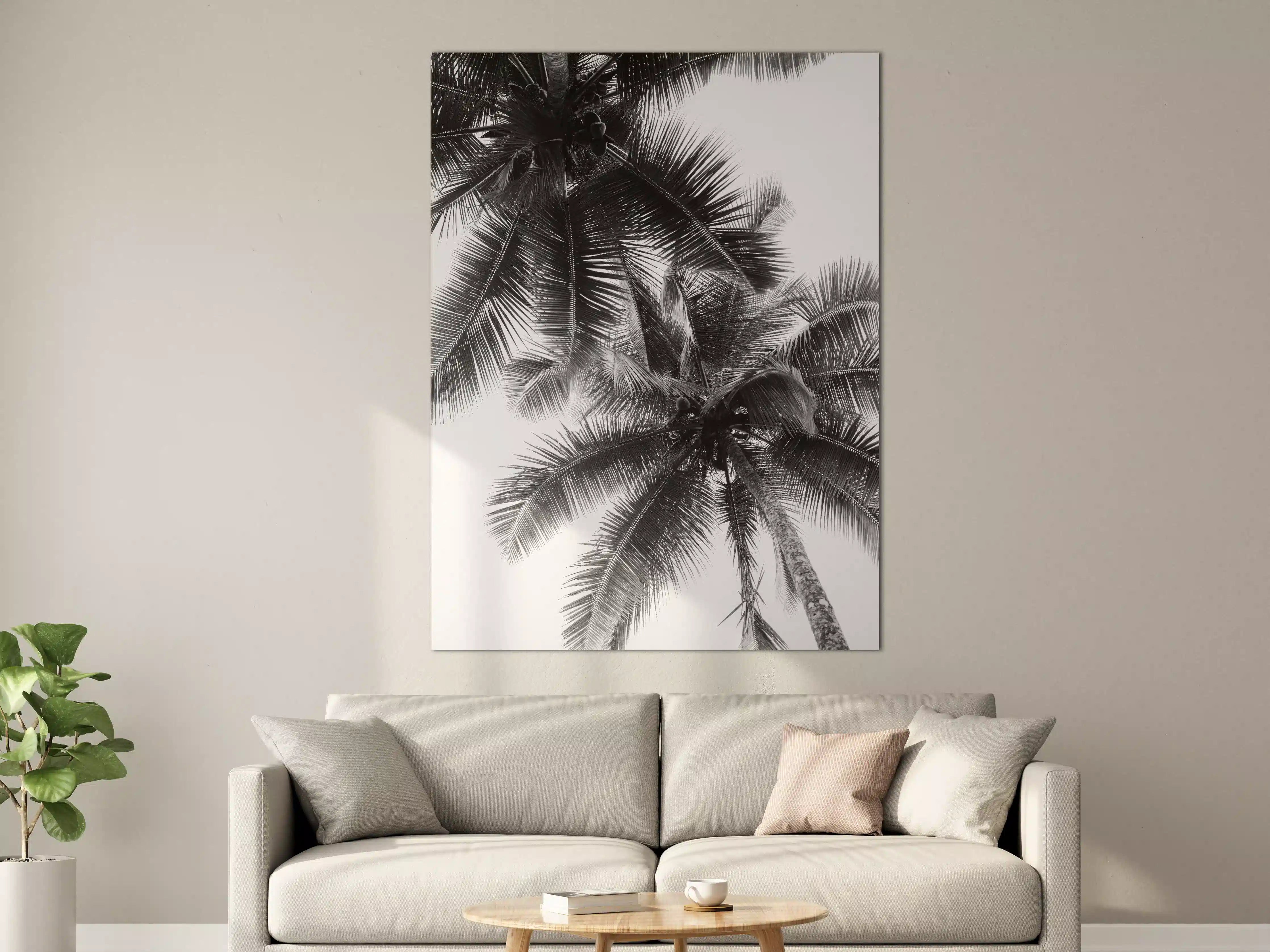 Große Wandbilder - Schwarz-Weiß-Palmenhof