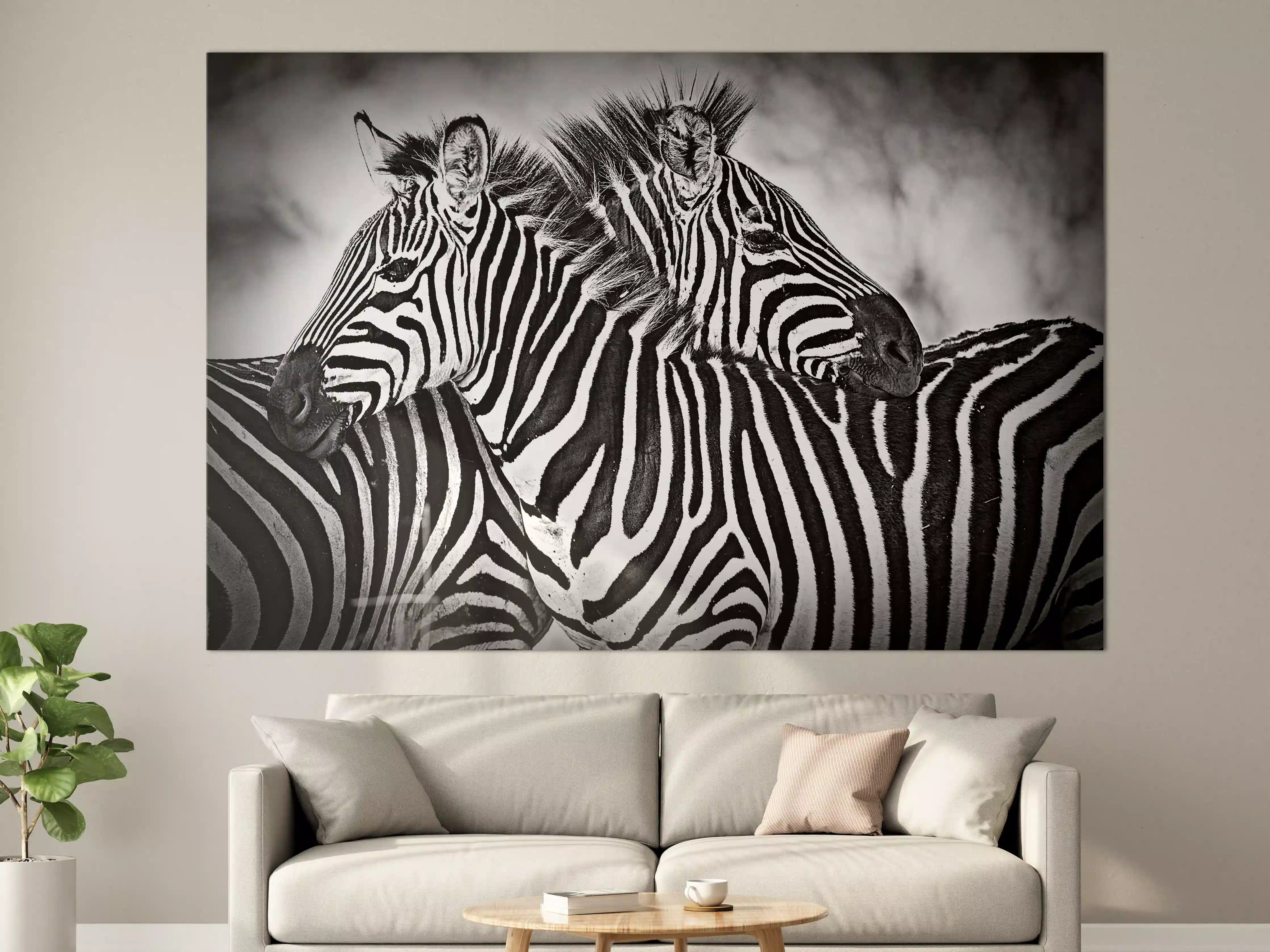 Große Wandbilder - Schwarz-Weiß Zebra-Paar in Nahaufnahme