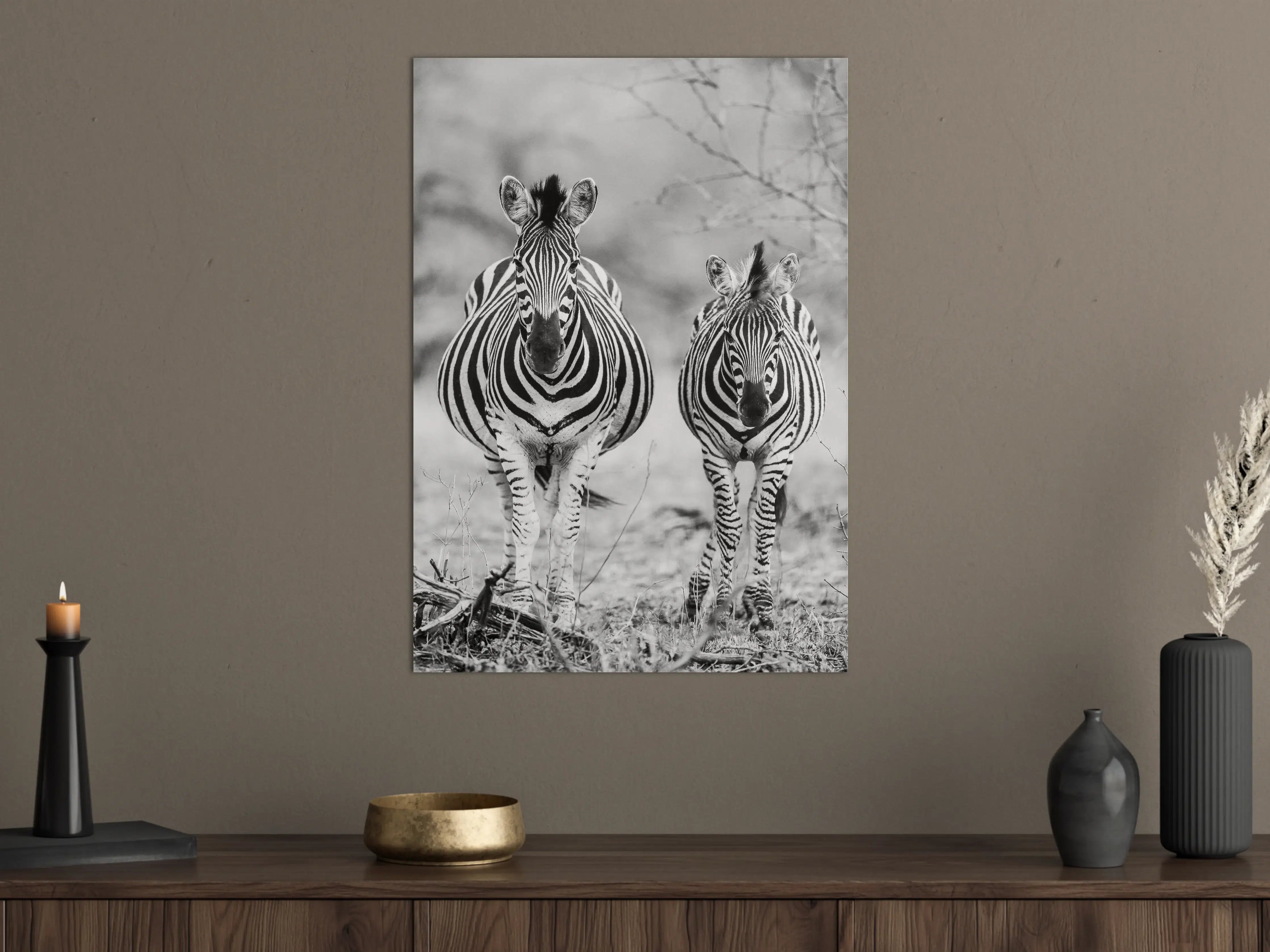 Große Wandbilder - Schwarz-Weiß Zebrapaar