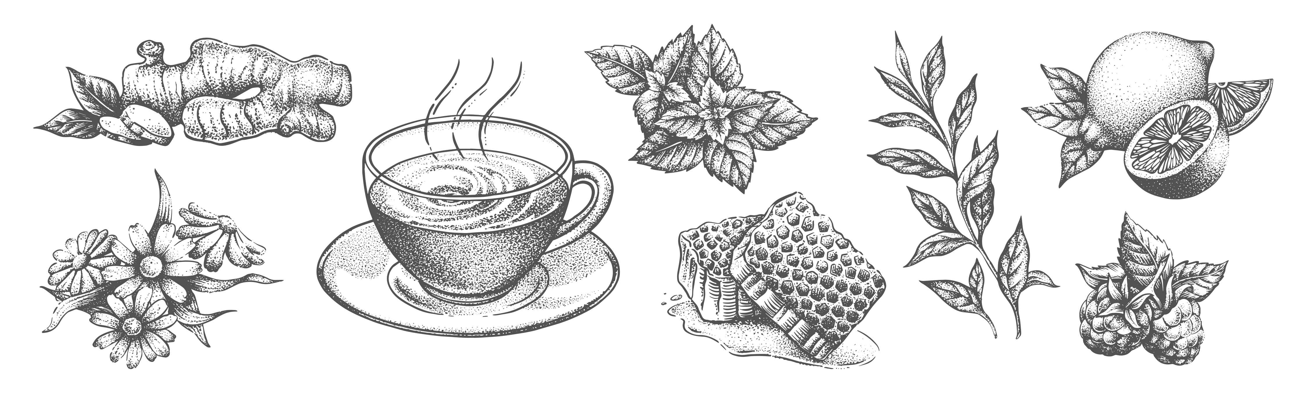 Große Wandbilder-Schwarz-weiß Tee & Gewürze Illustration