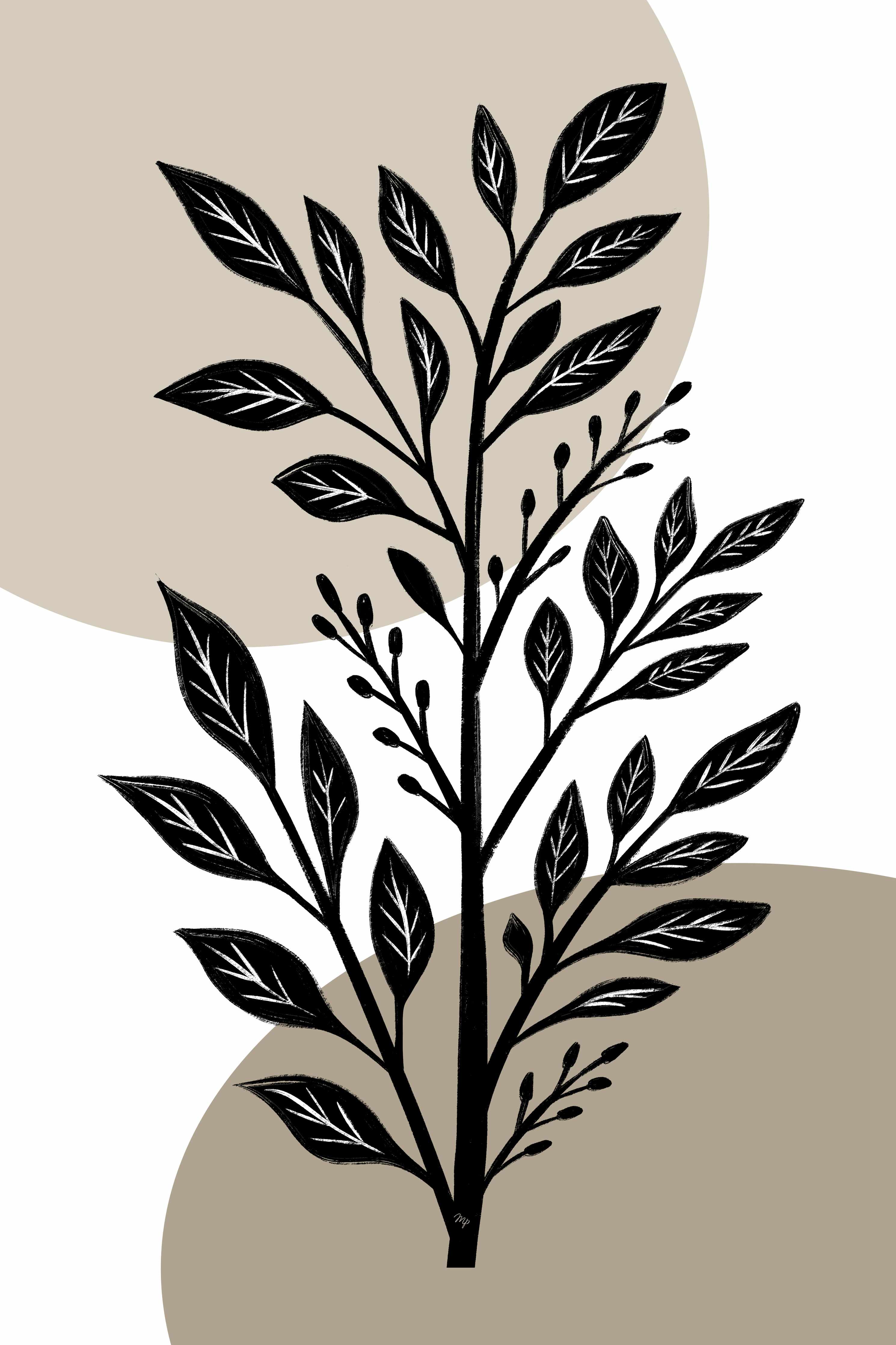 Große Wandbilder-Schwarz-weiße Blätter-Illustration