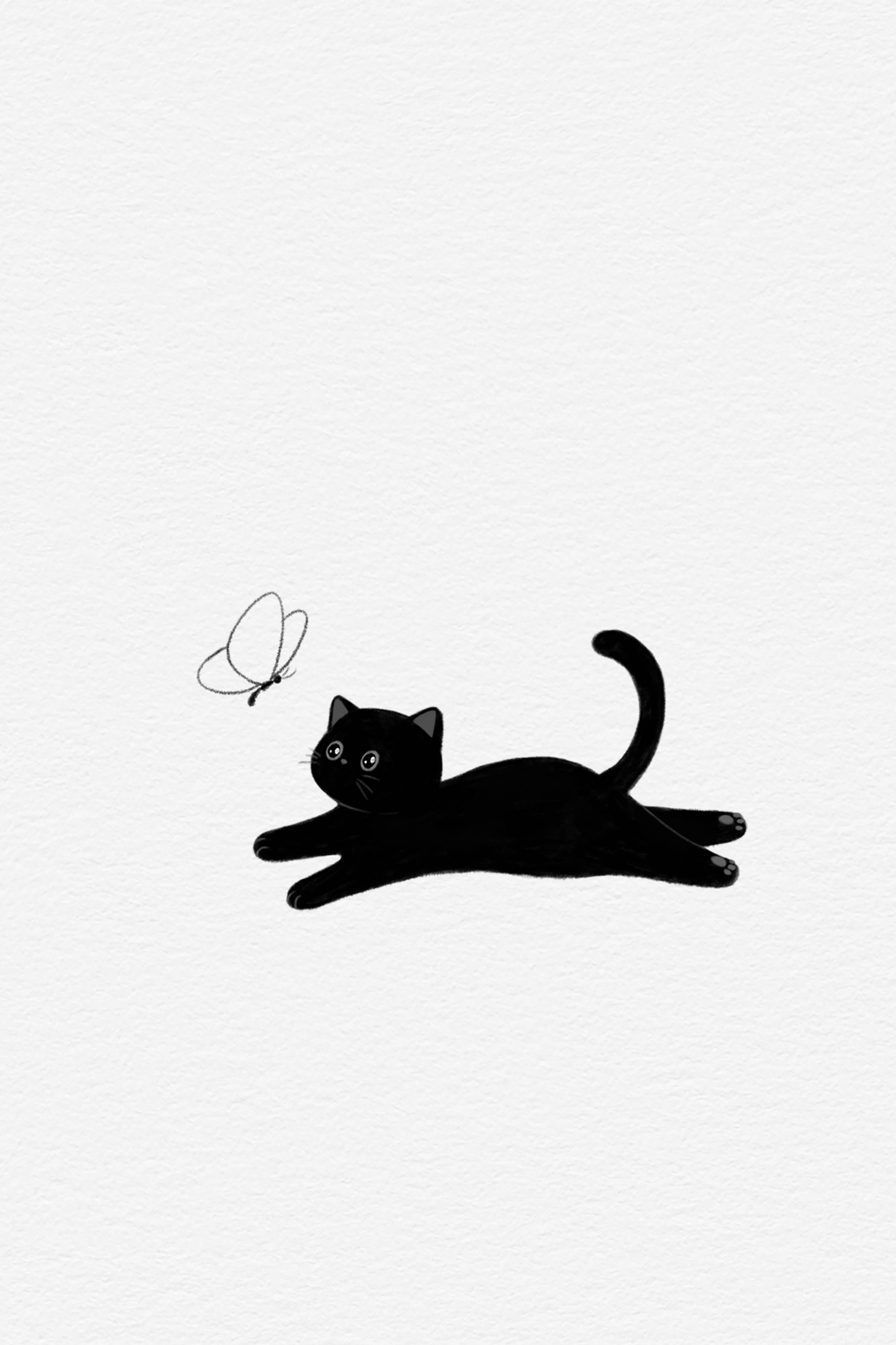 Große Wandbilder-Schwarze Katze mit Schmetterling