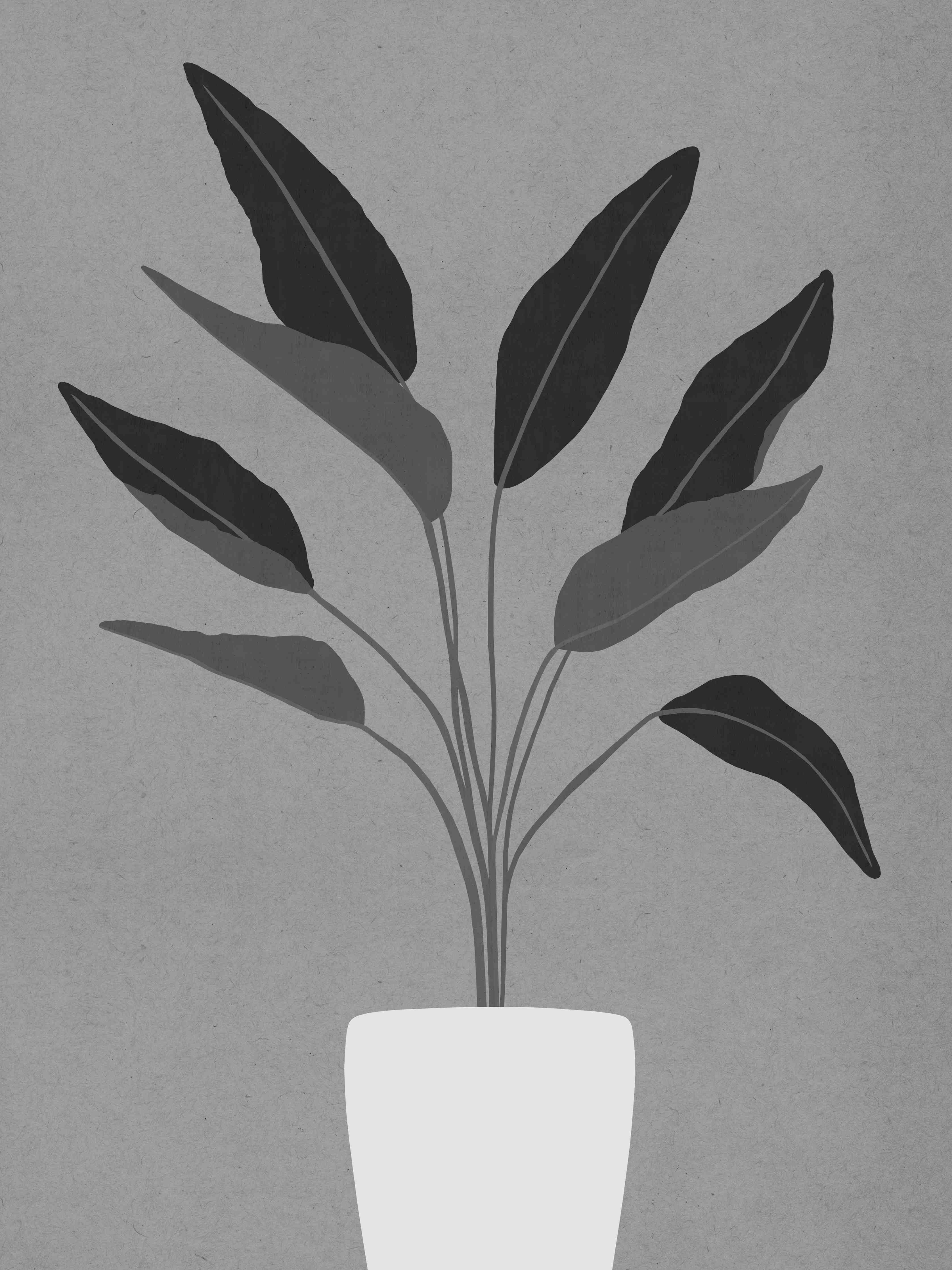 Große Wandbilder-Schwarzer Blätterzweig auf Grau