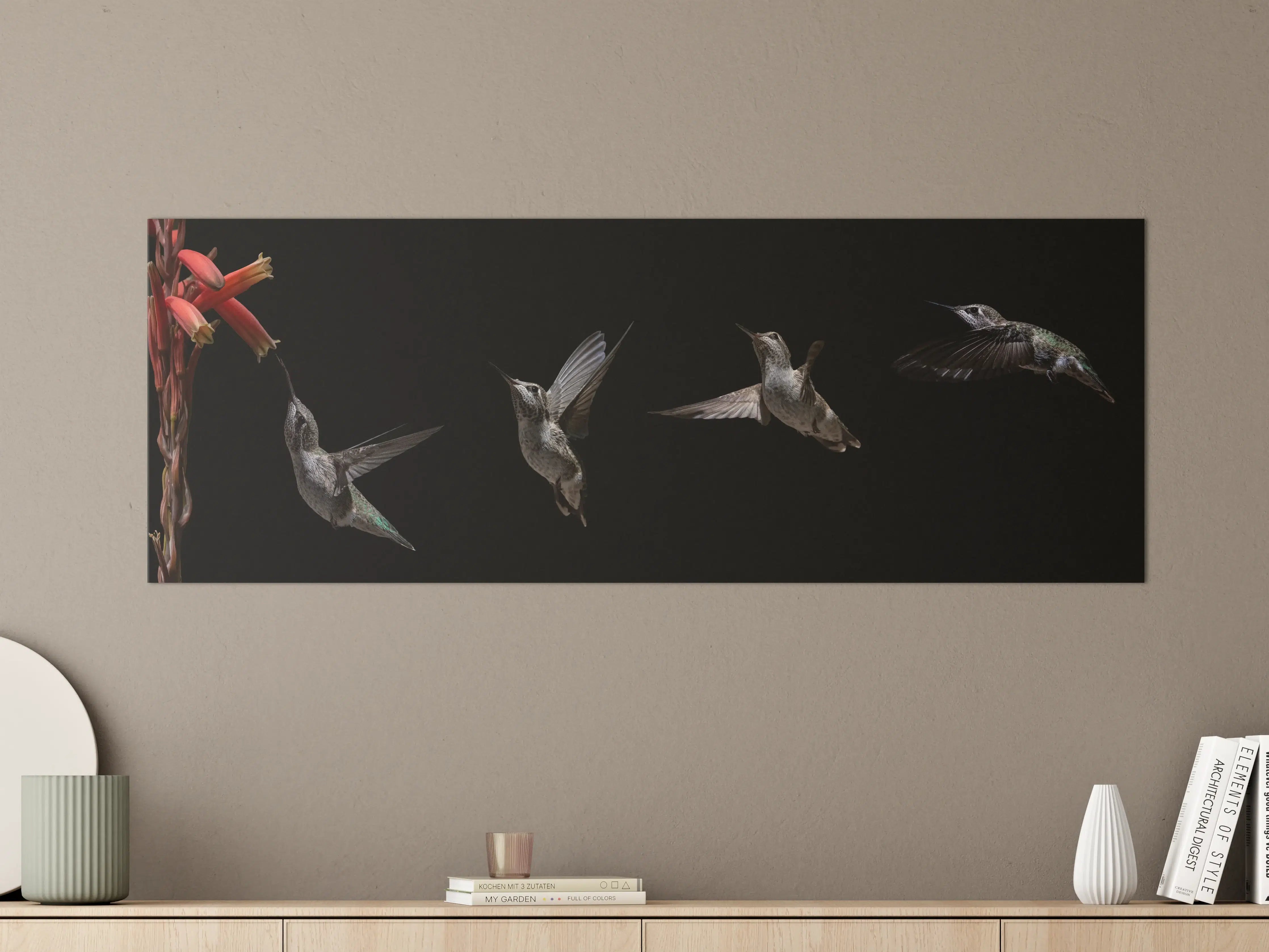Große Wandbilder - Schwarzkinnkolibri Vogel mit Schwarzem Hintergrund