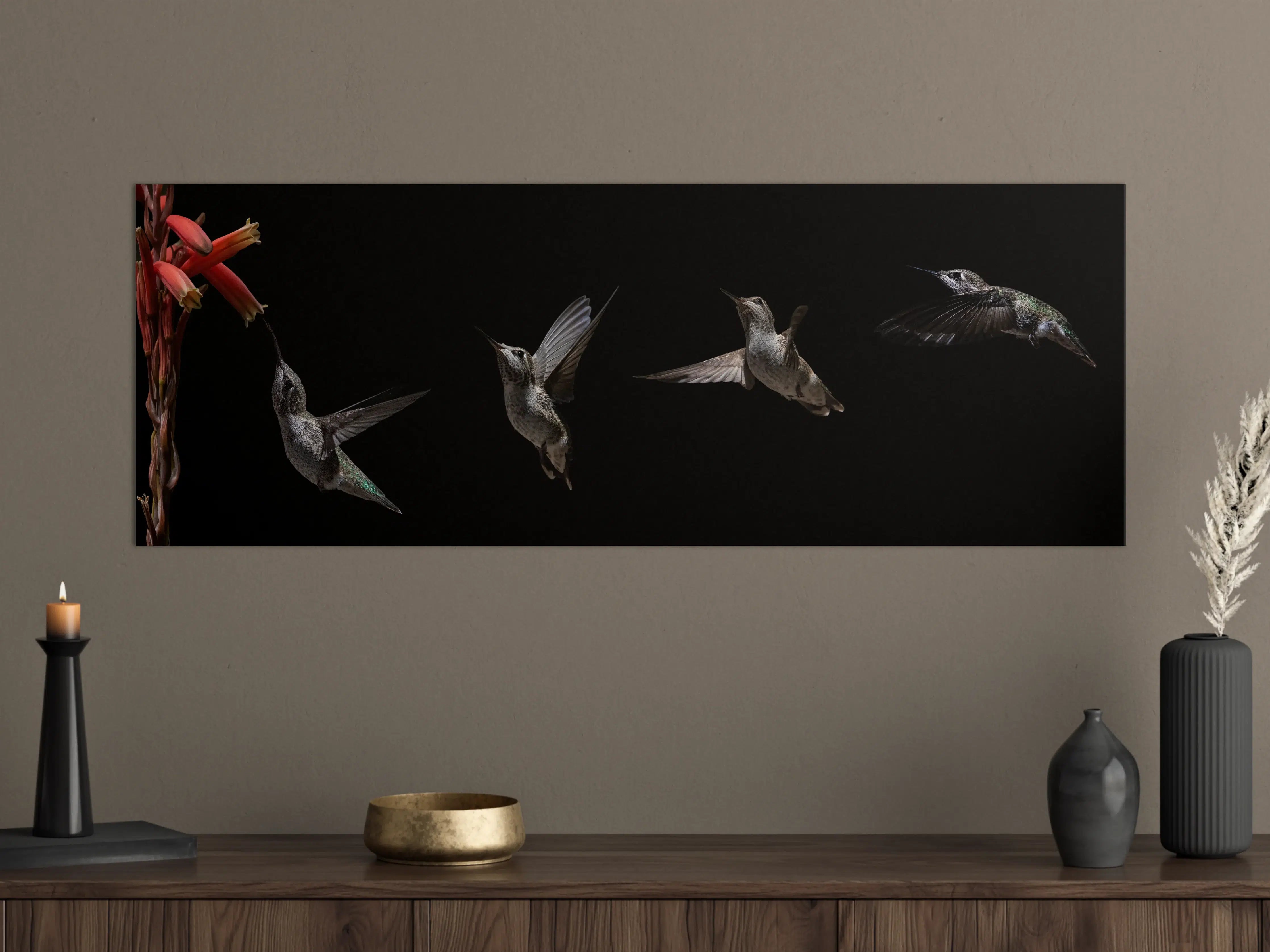 Große Wandbilder - Schwarzkinnkolibri Vogel mit Schwarzem Hintergrund
