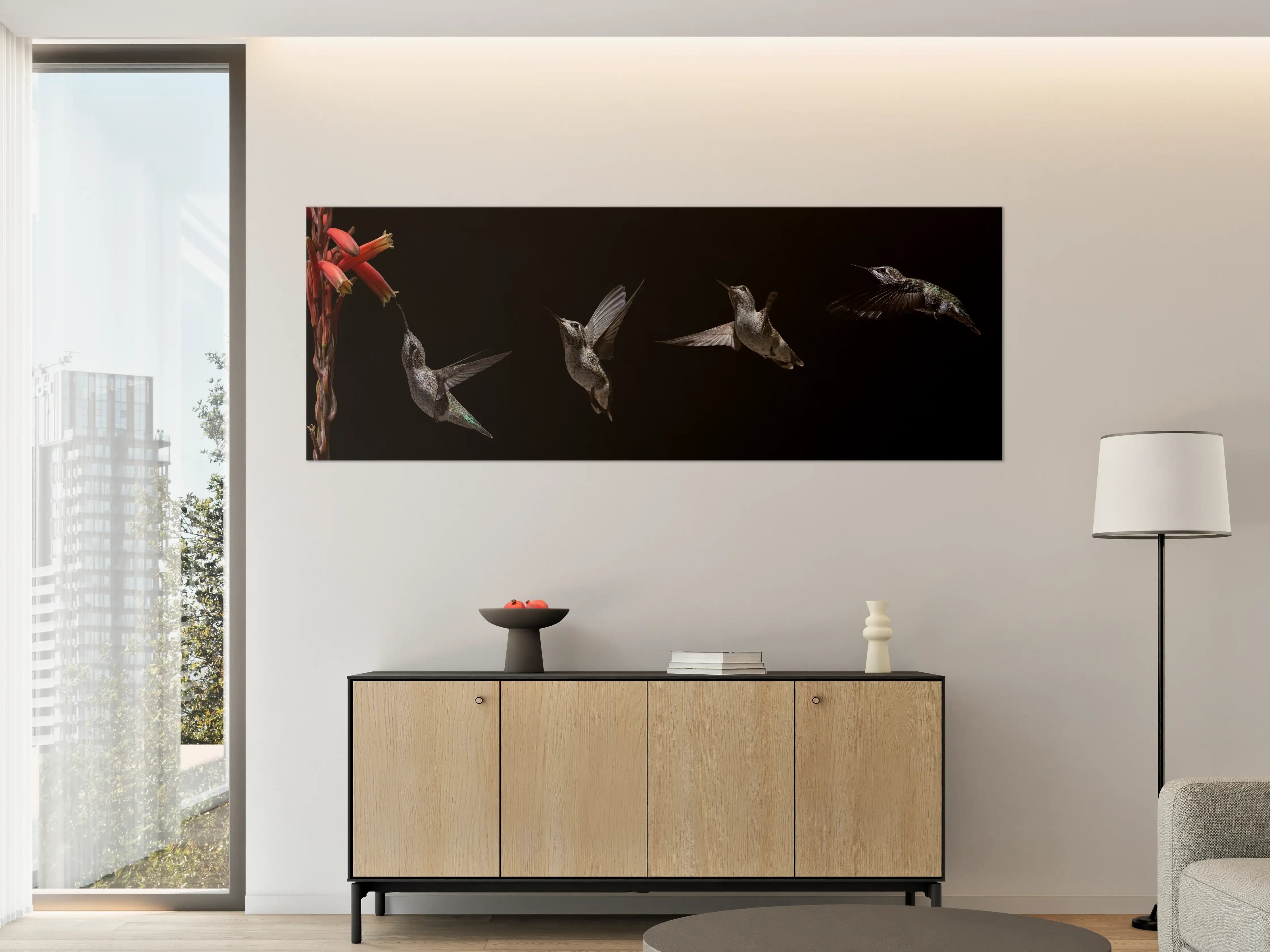 Große Wandbilder - Schwarzkinnkolibri Vogel mit Schwarzem Hintergrund