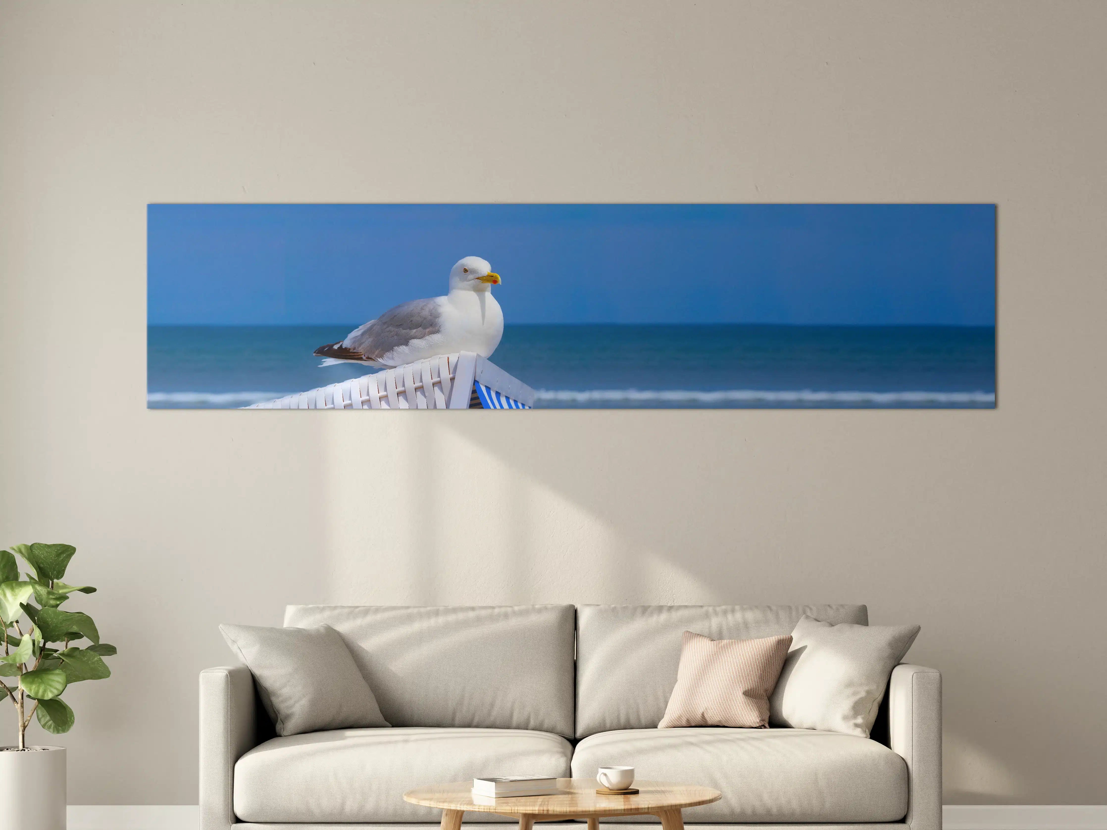 Große Wandbilder - Seegull am Strand mit blauem Hintergrund