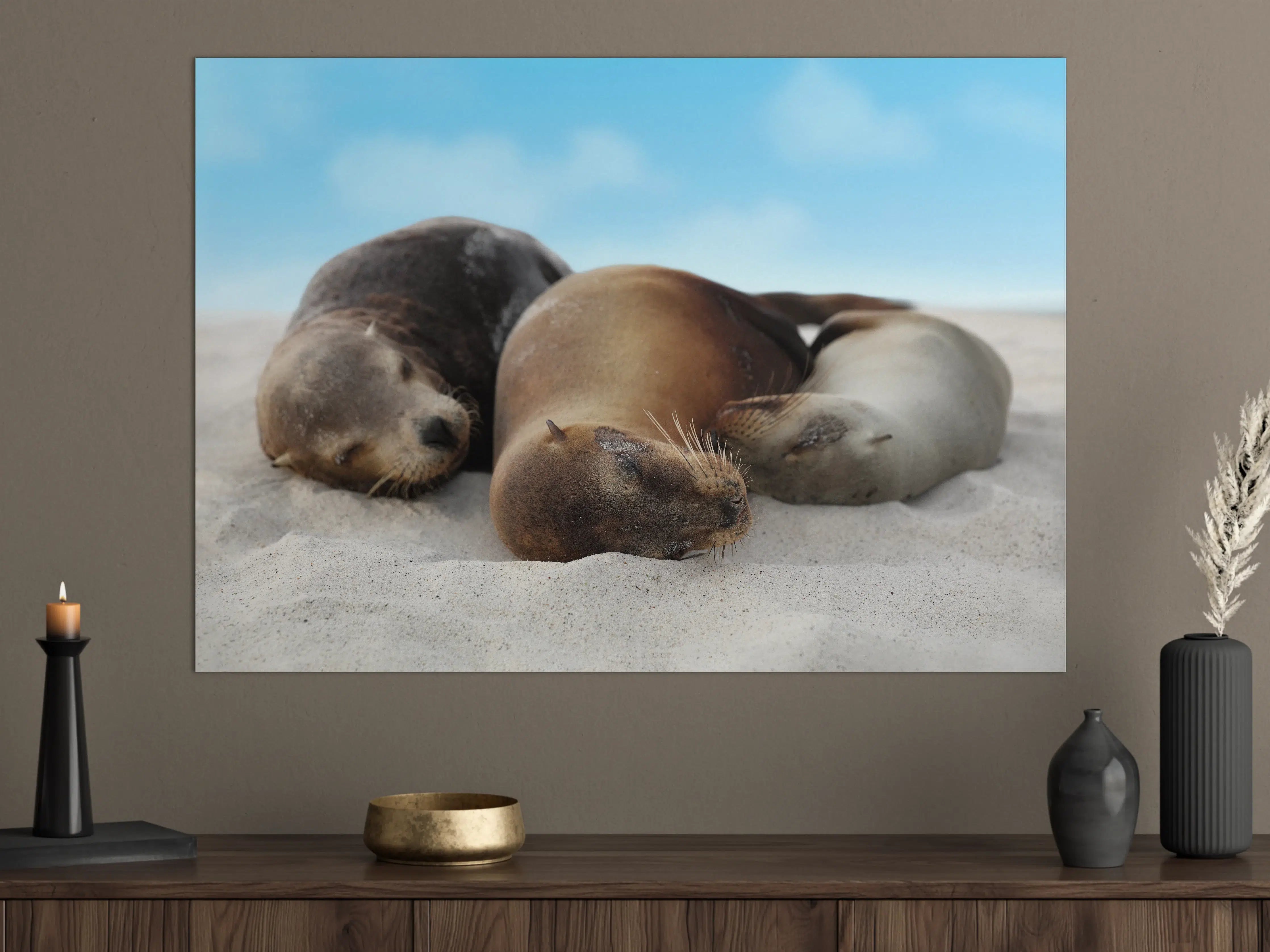 Große Wandbilder - Seelöwen im Sand liegend