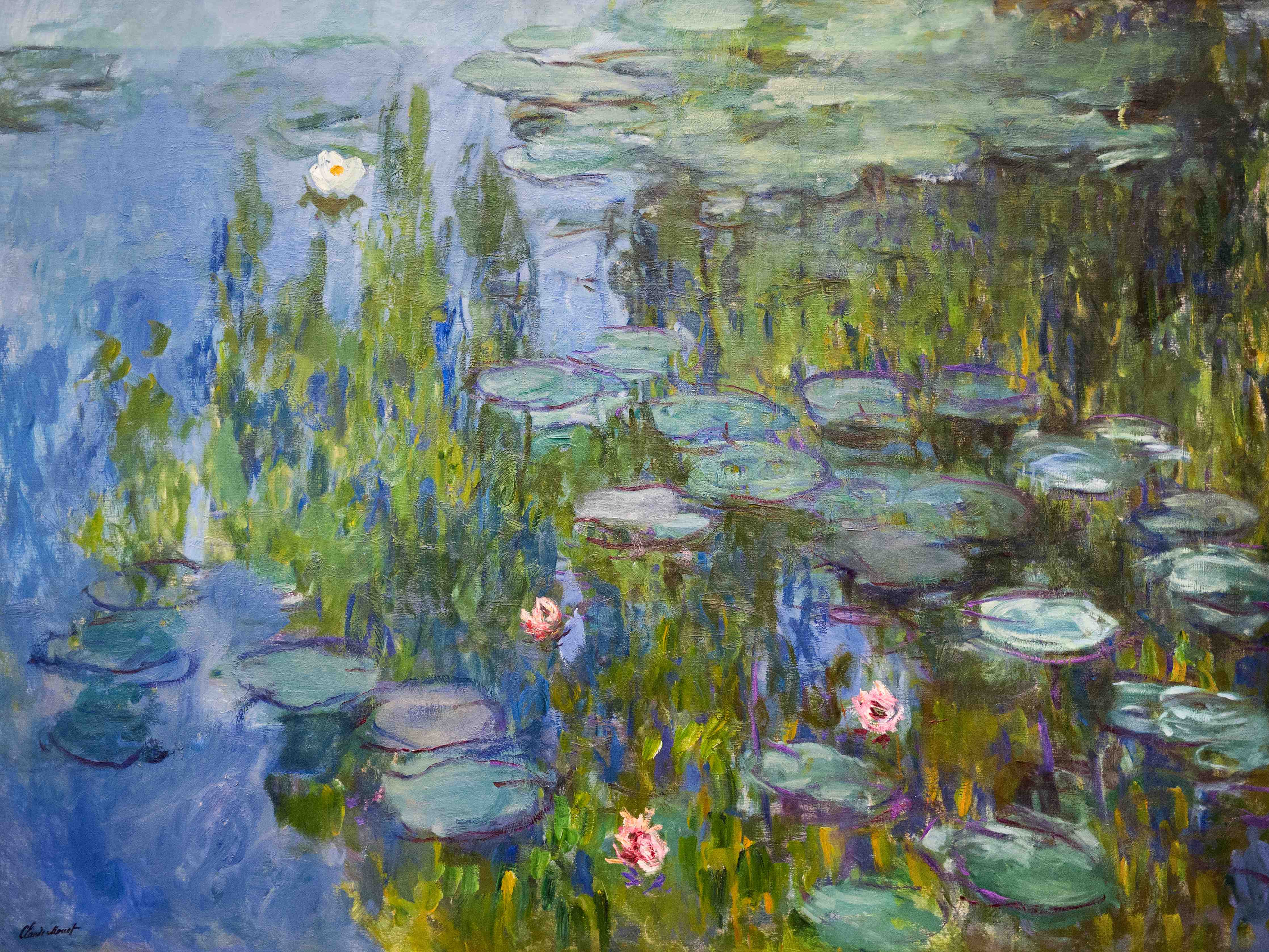 Große Wandbilder-Seerosen im Wasser mit grünen und blauen Tönen