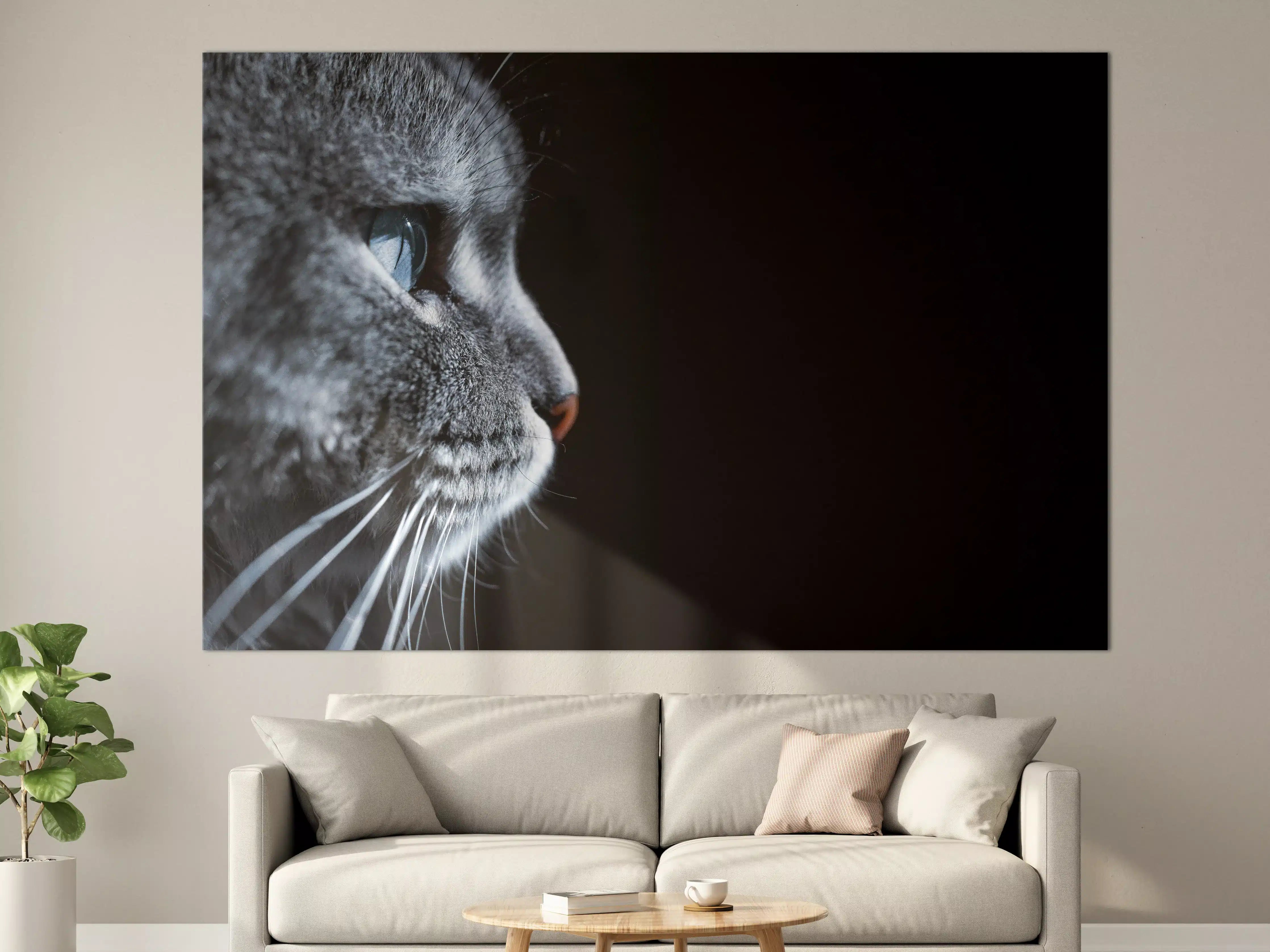 Große Wandbilder - Seitliches Katzen-Portrait