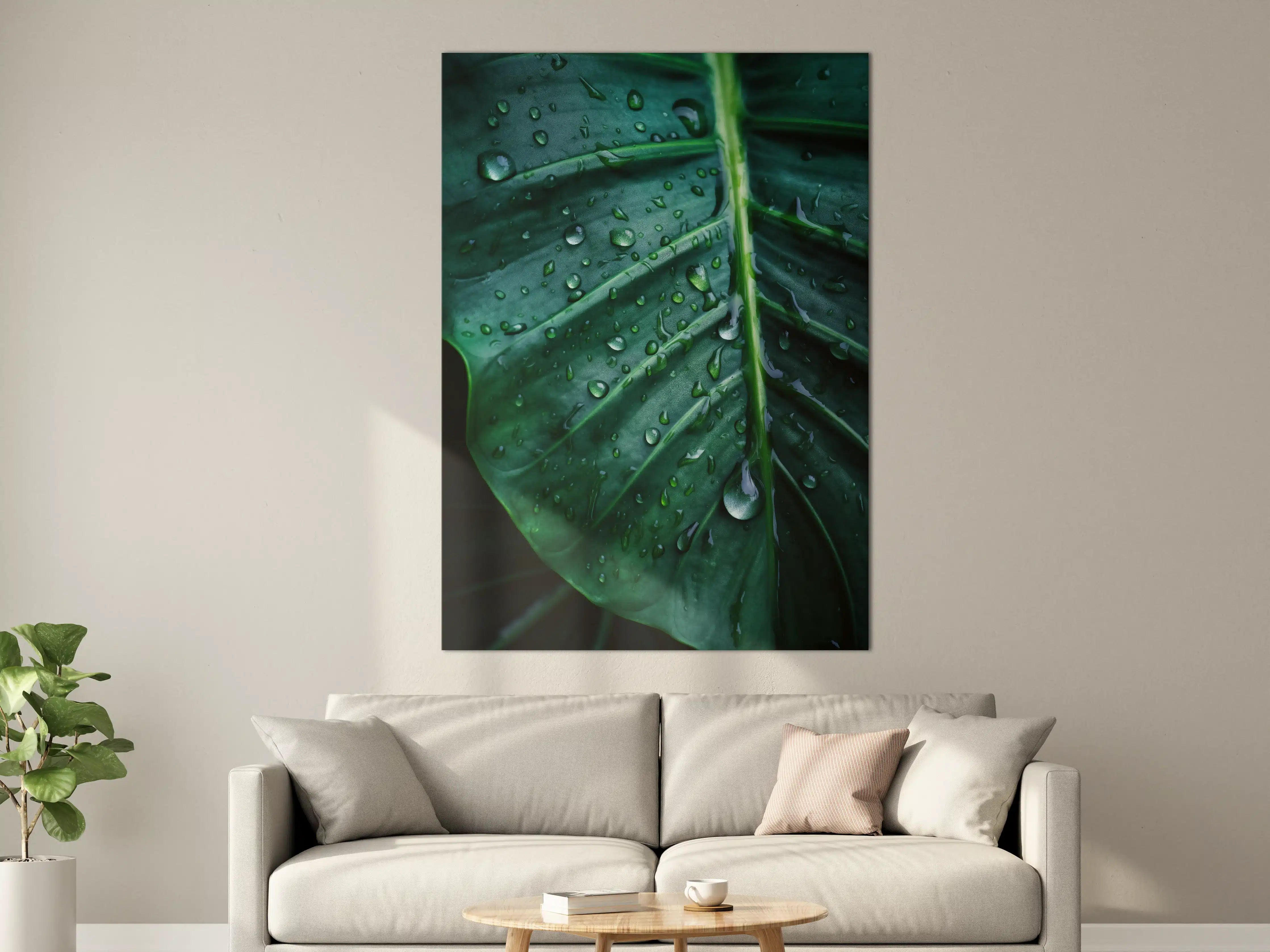 Große Wandbilder - Silbrige Blätter im Morgentau