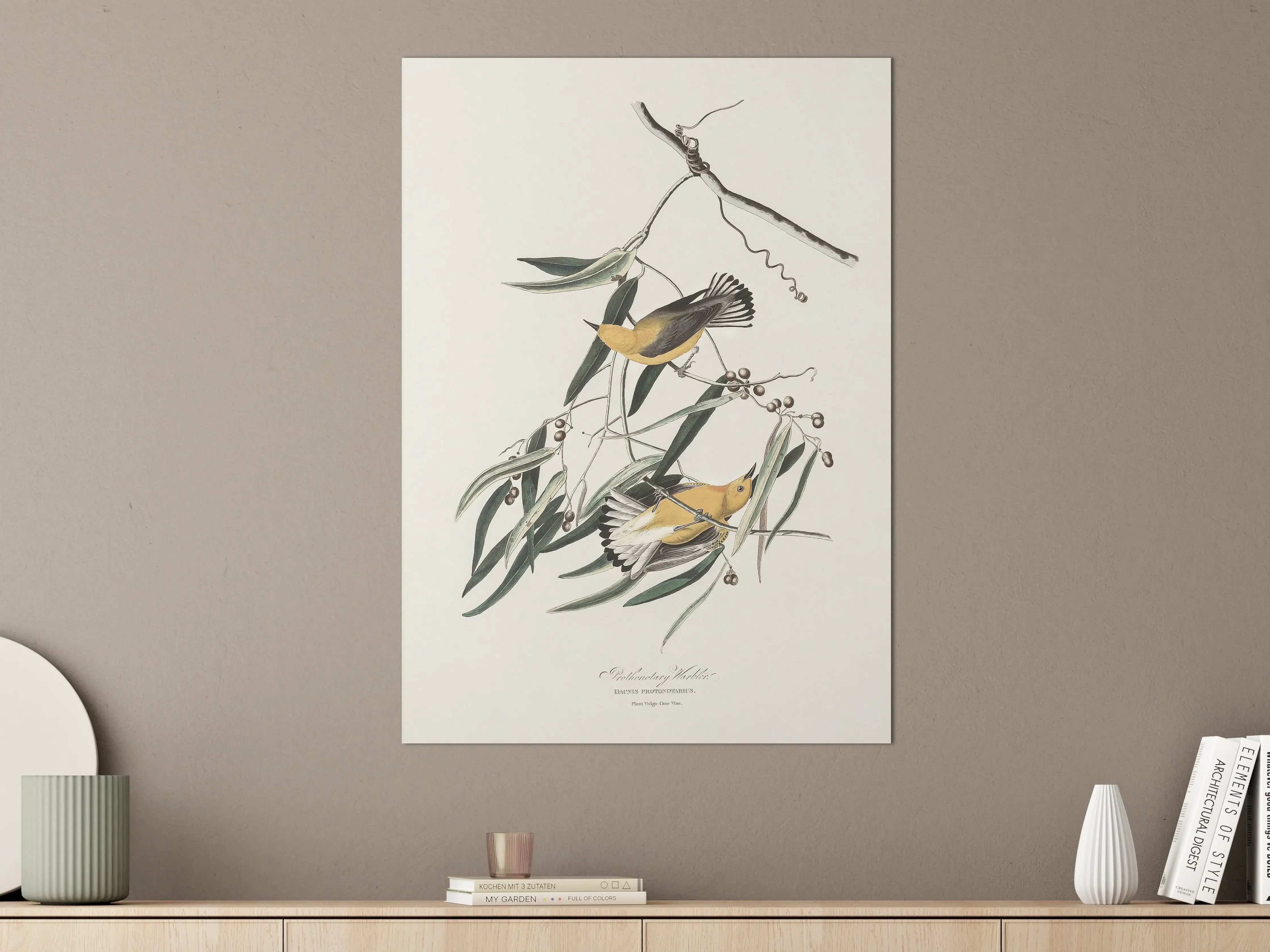 Große Wandbilder - Singvogel Portrait - John James Audubon