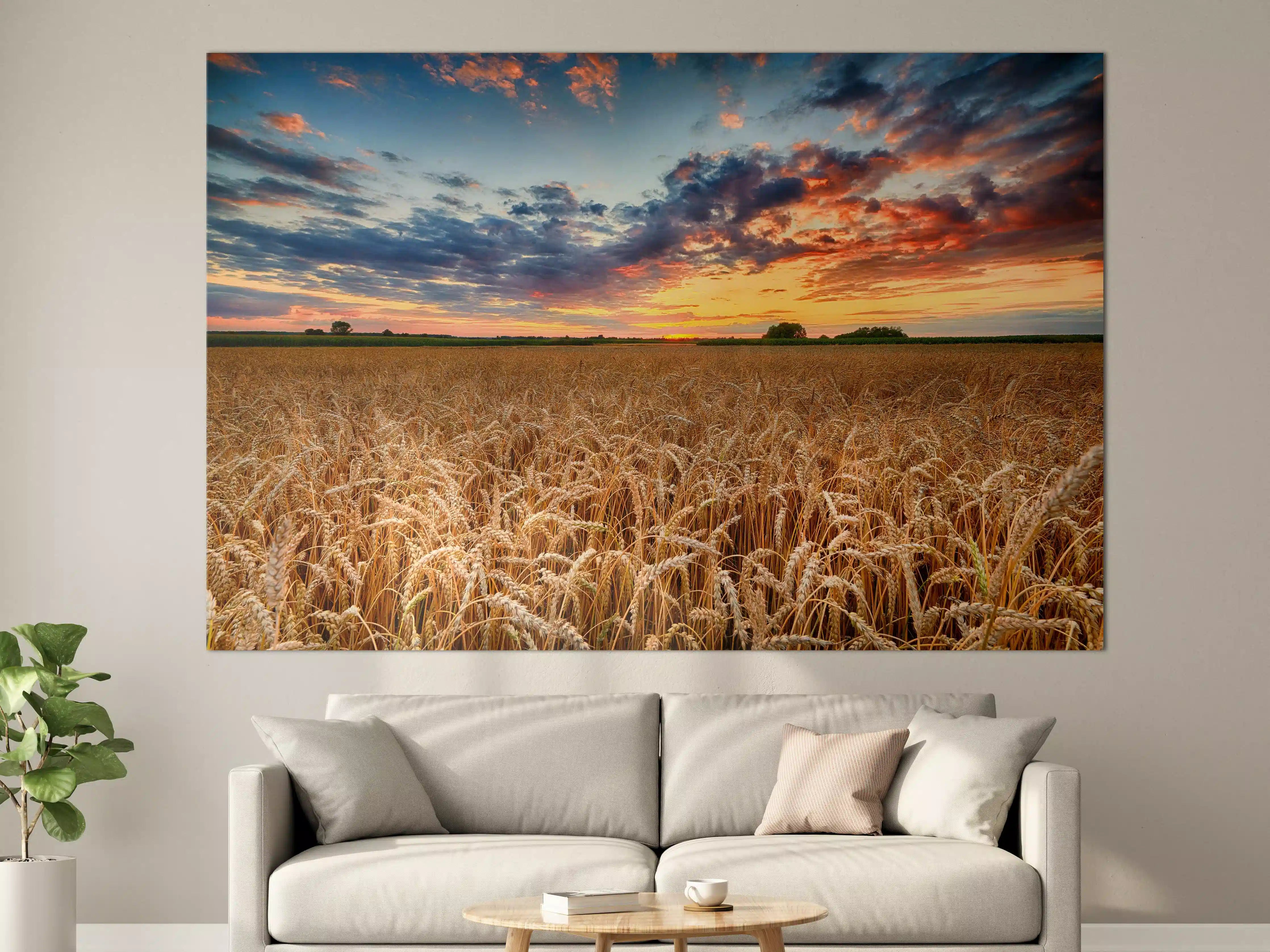 Große Wandbilder - Sommer-Sonnenaufgang über Weizenfeldern in der Ukraine