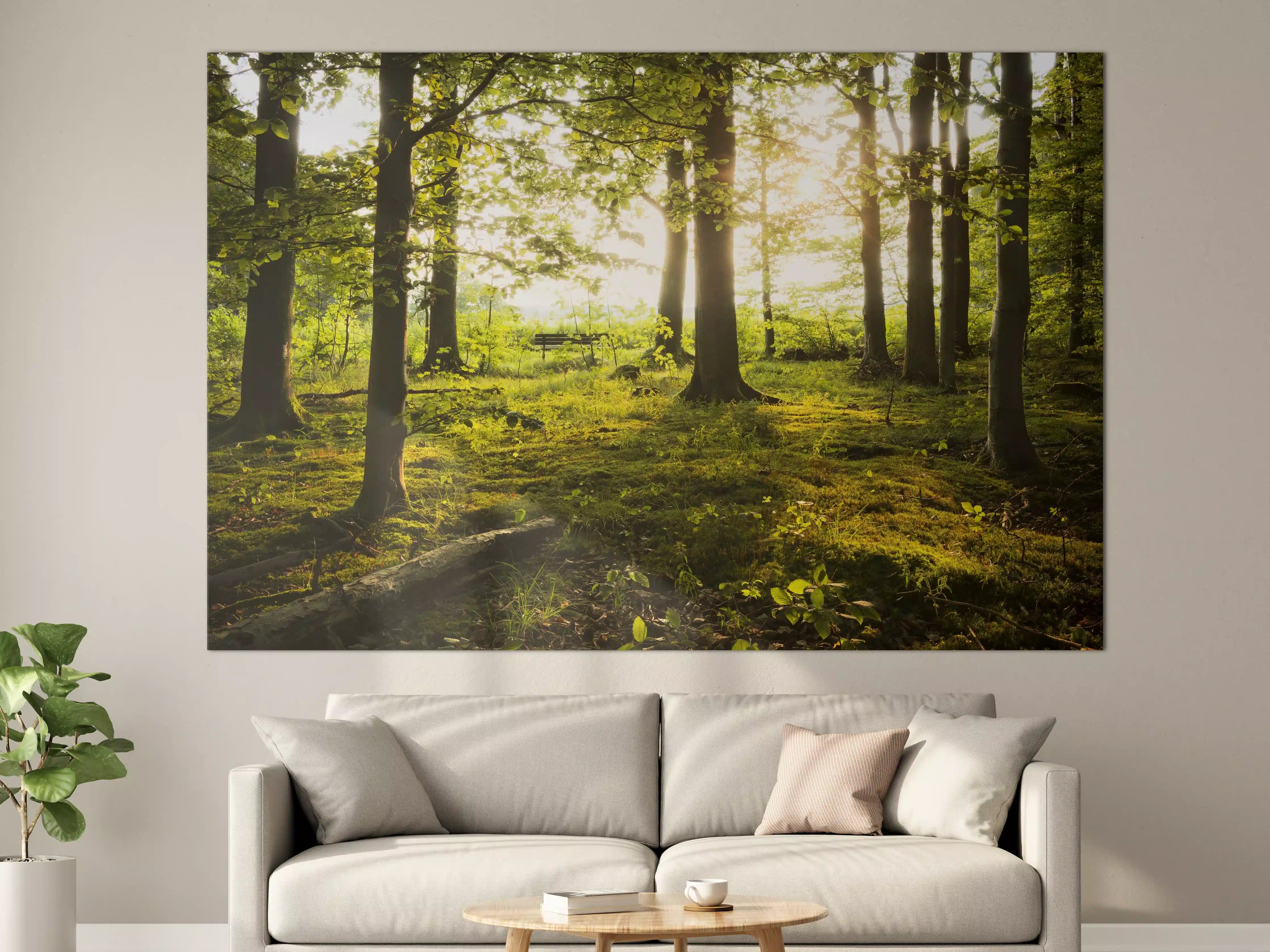 Große Wandbilder - Sommer Wald