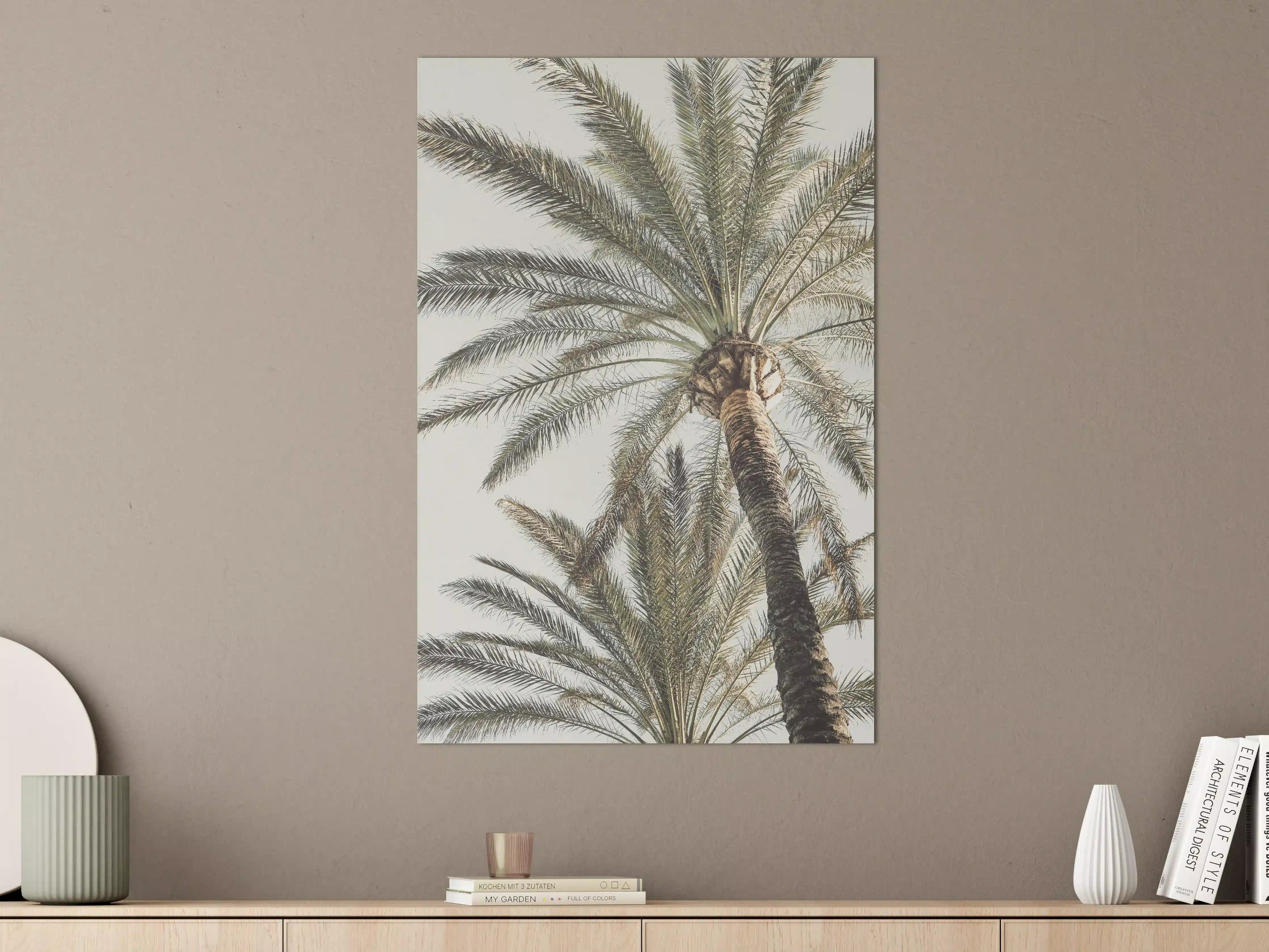 Große Wandbilder - Sommerliche Palme 