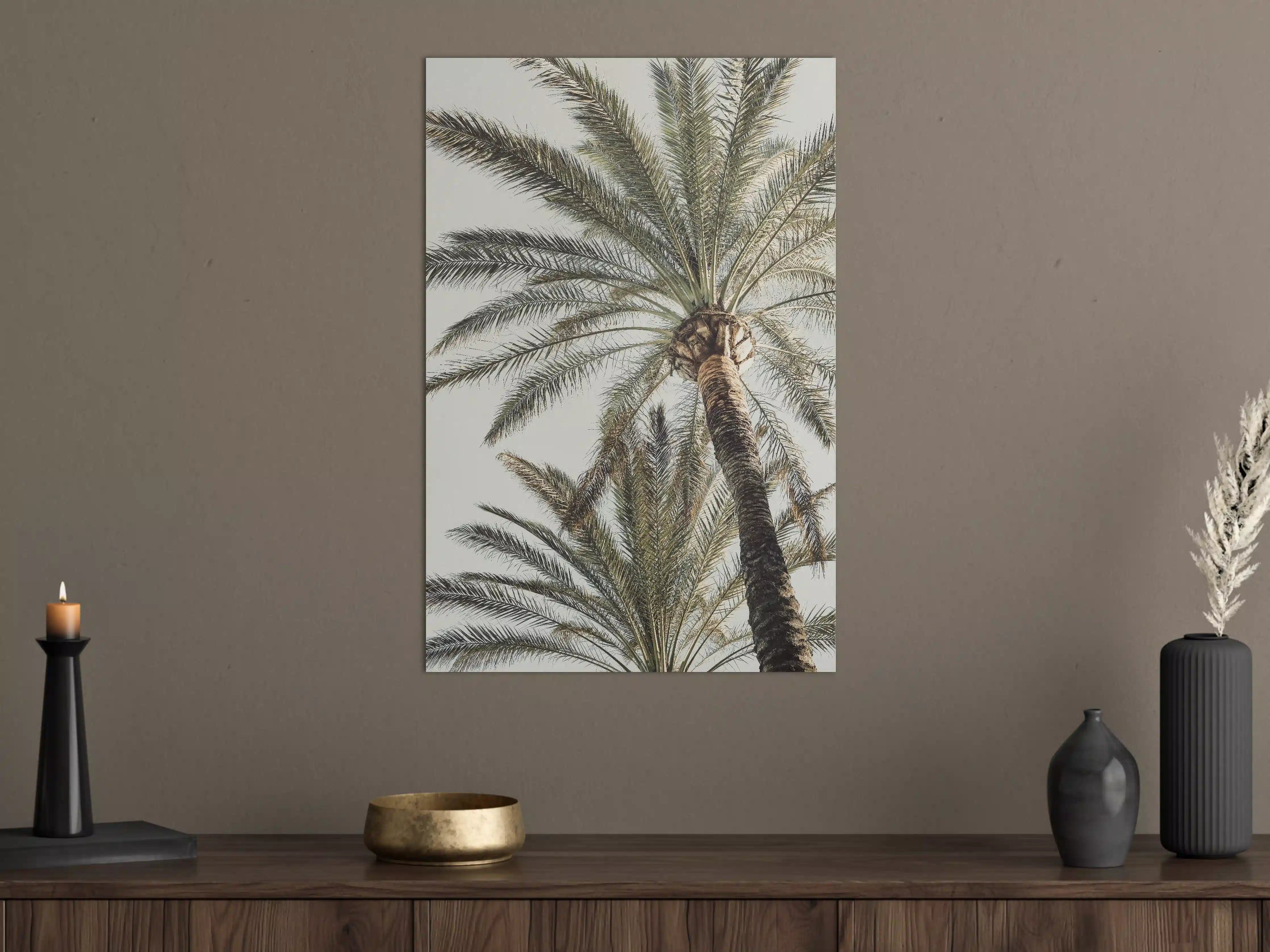 Große Wandbilder - Sommerliche Palme 