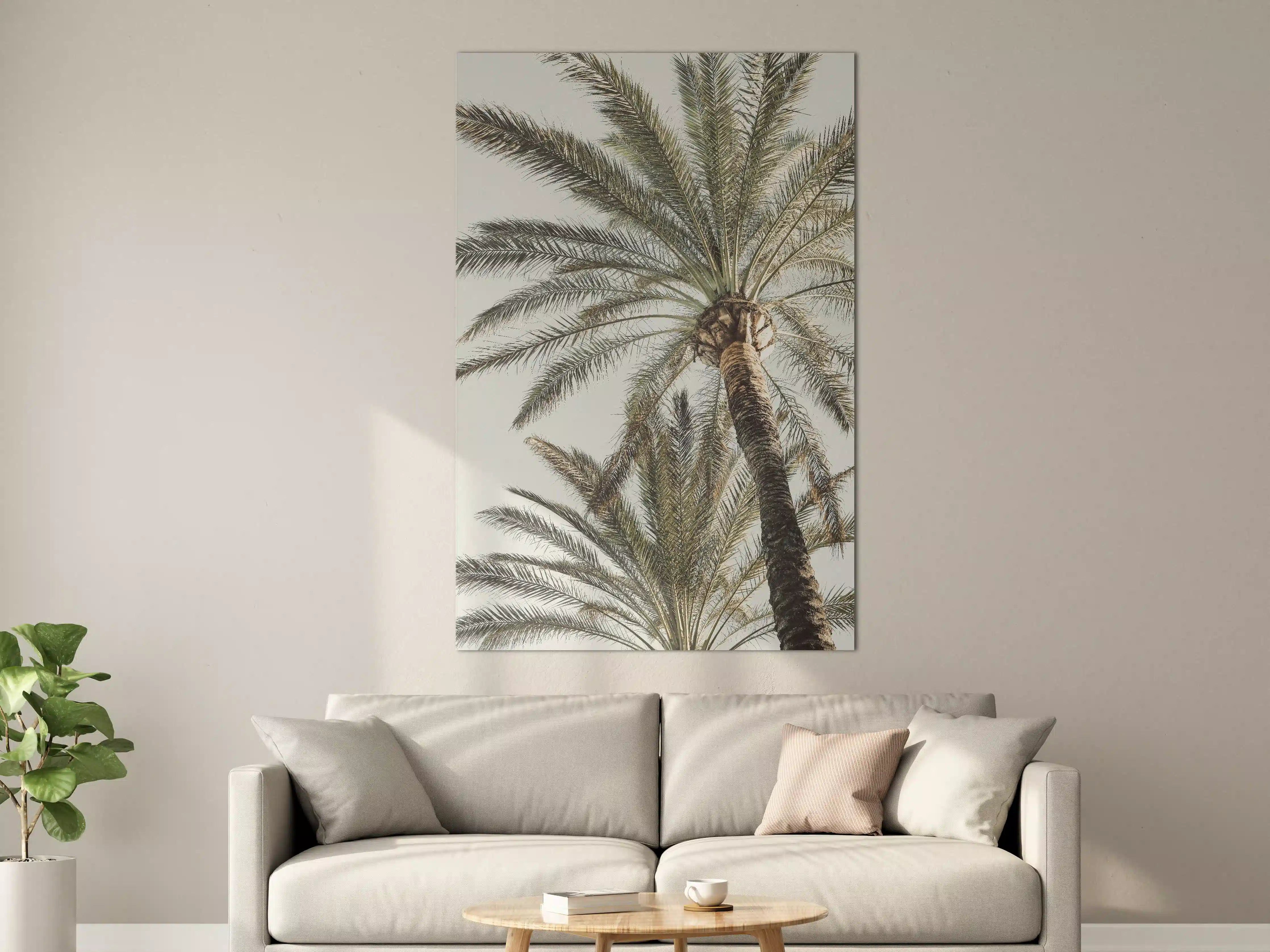Große Wandbilder - Sommerliche Palme 