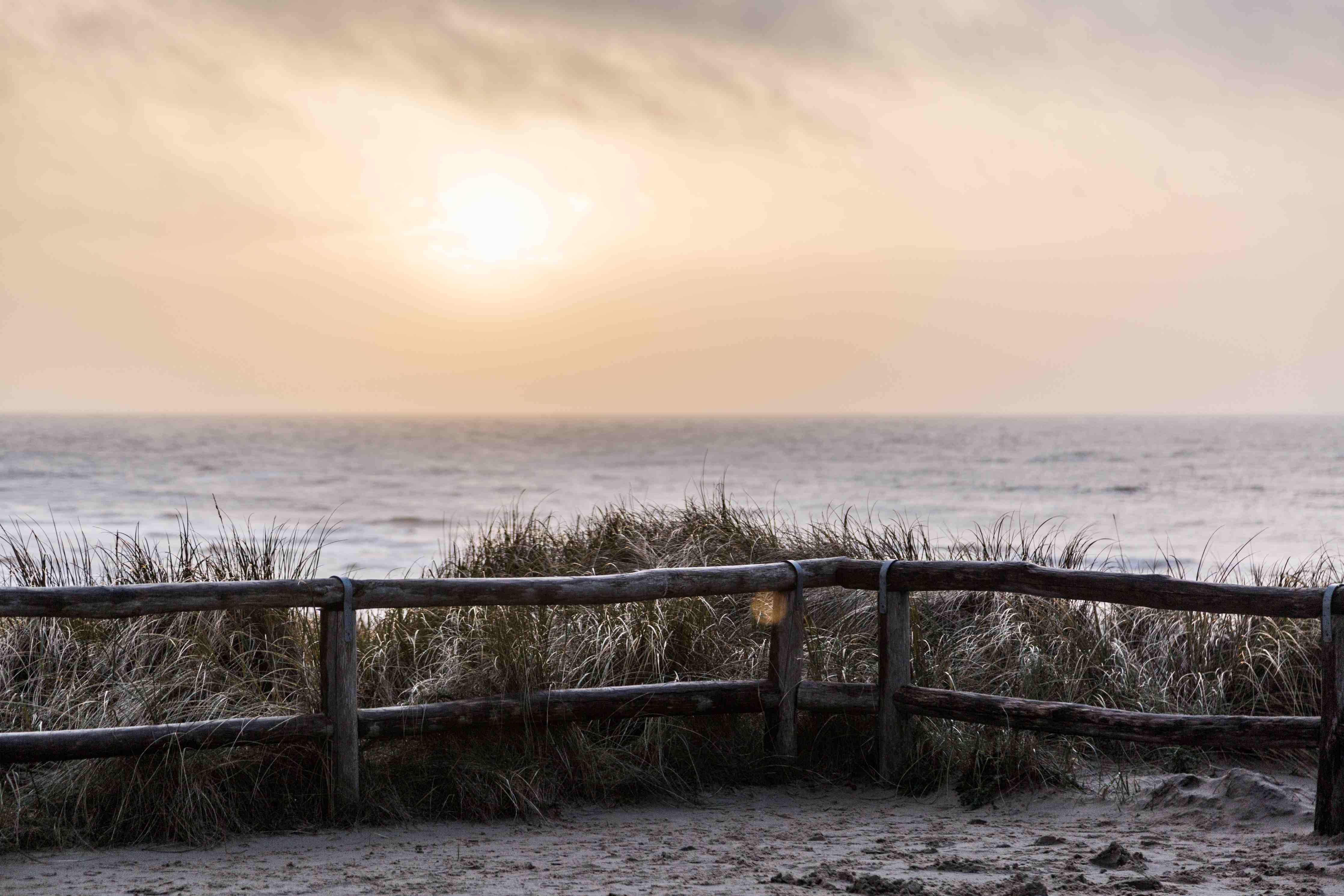Große Wandbilder-Sonnenaufgang am Strand mit Dünen