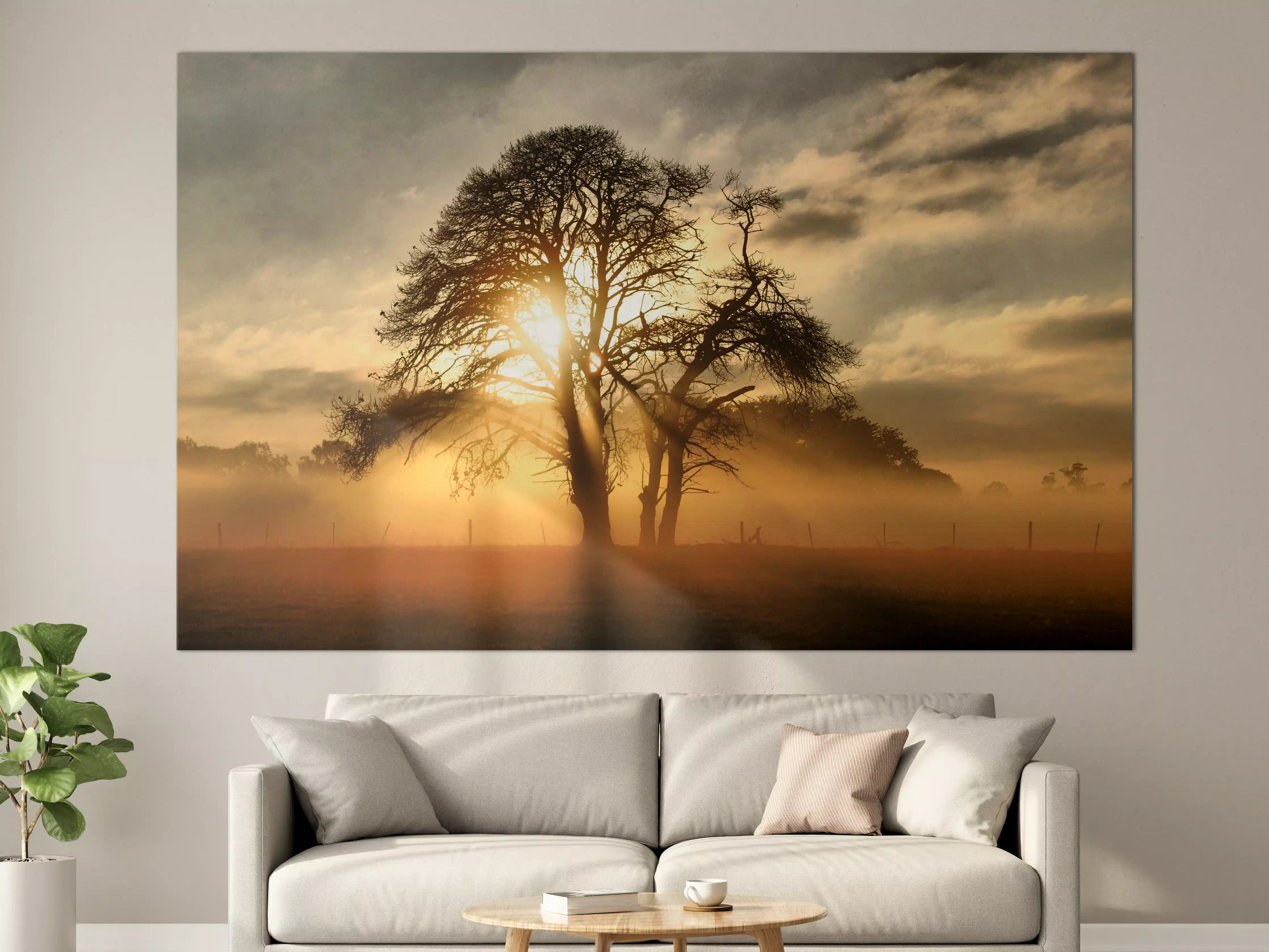Große Wandbilder - Sonnenaufgang hinter Baum Silhouette