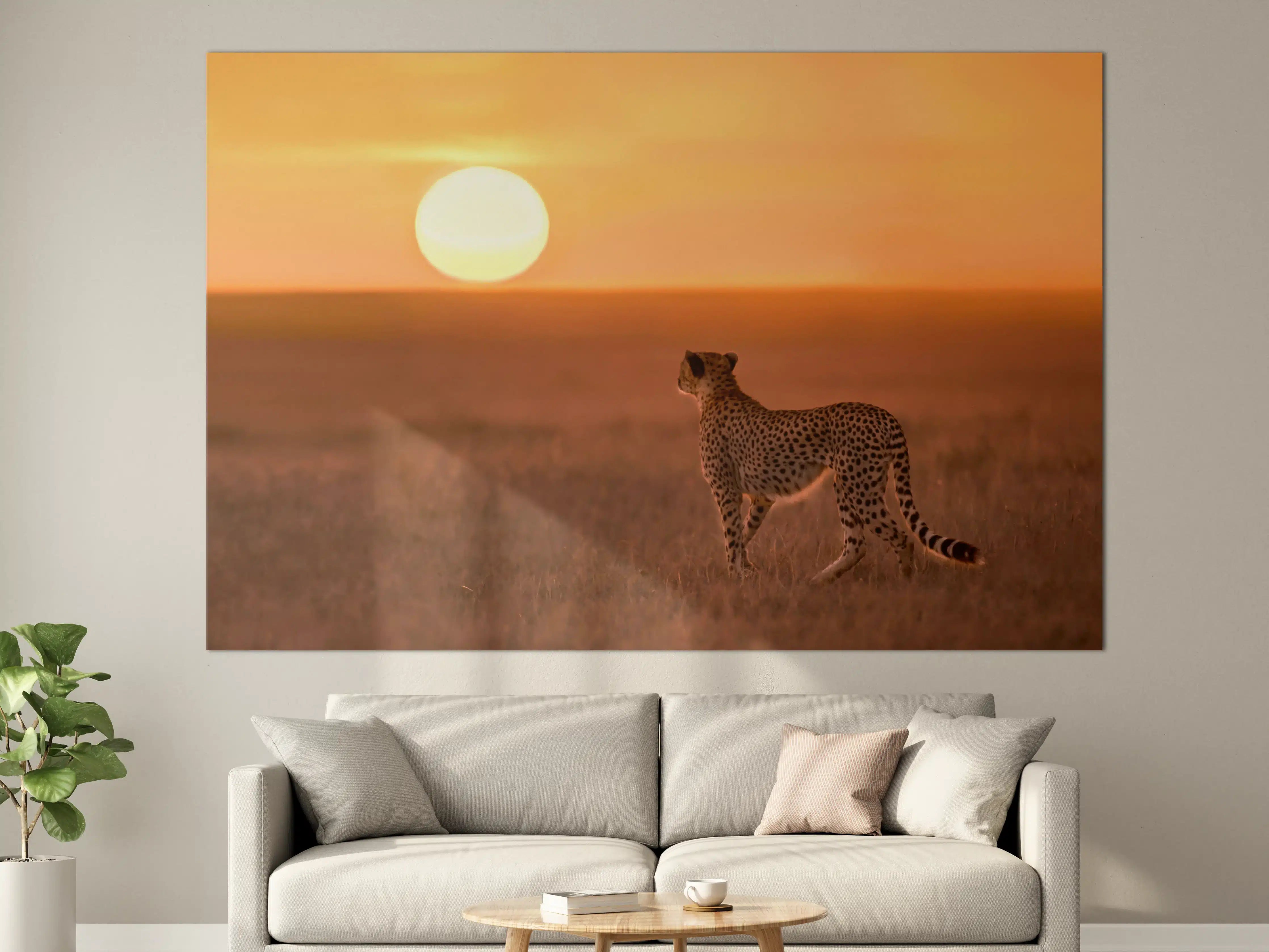 Große Wandbilder - Sonnenaufgang in der Savanne - Afrika