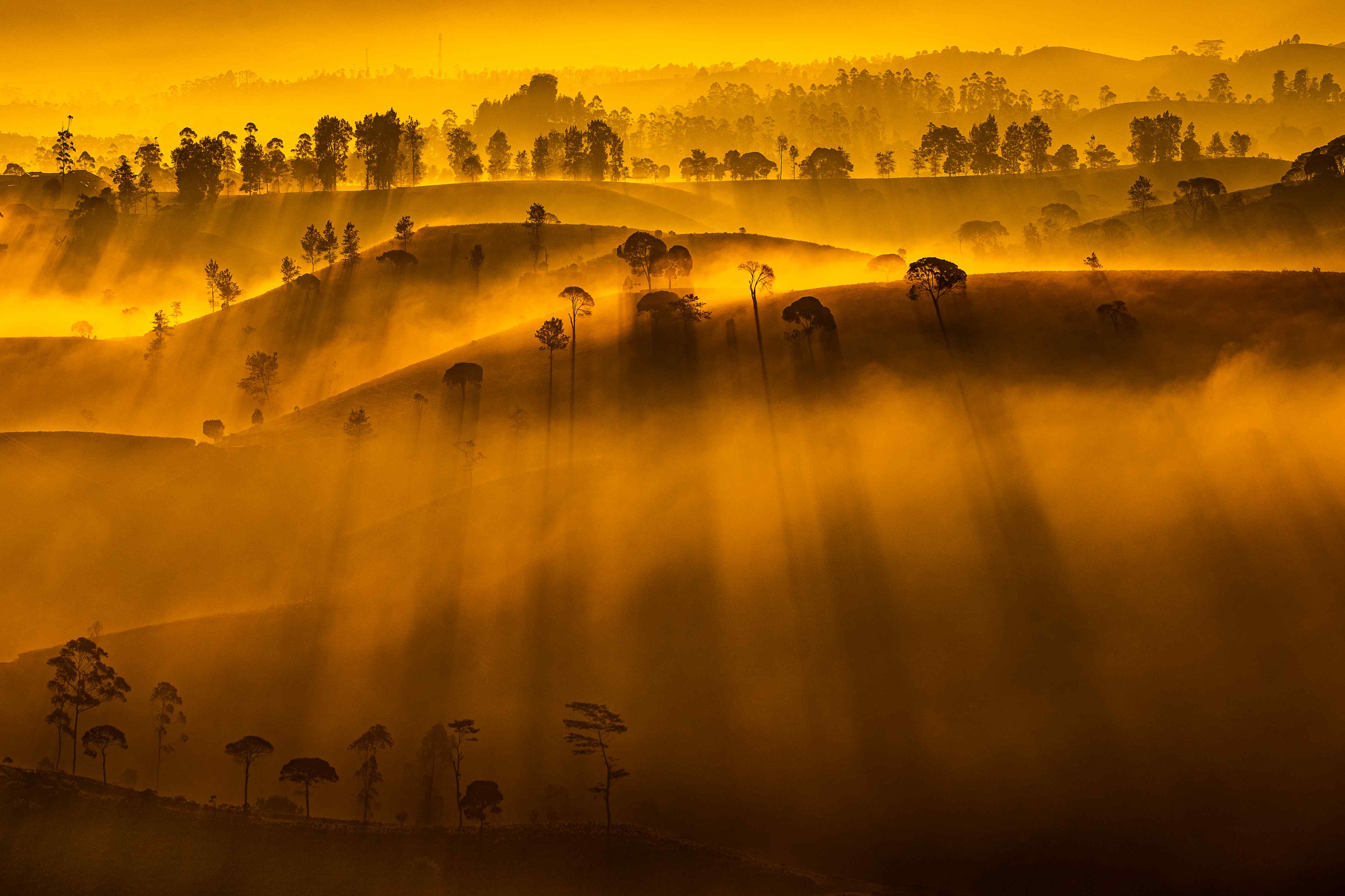 Große Wandbilder-Sonnenaufgang über dem goldenen Hügelland
