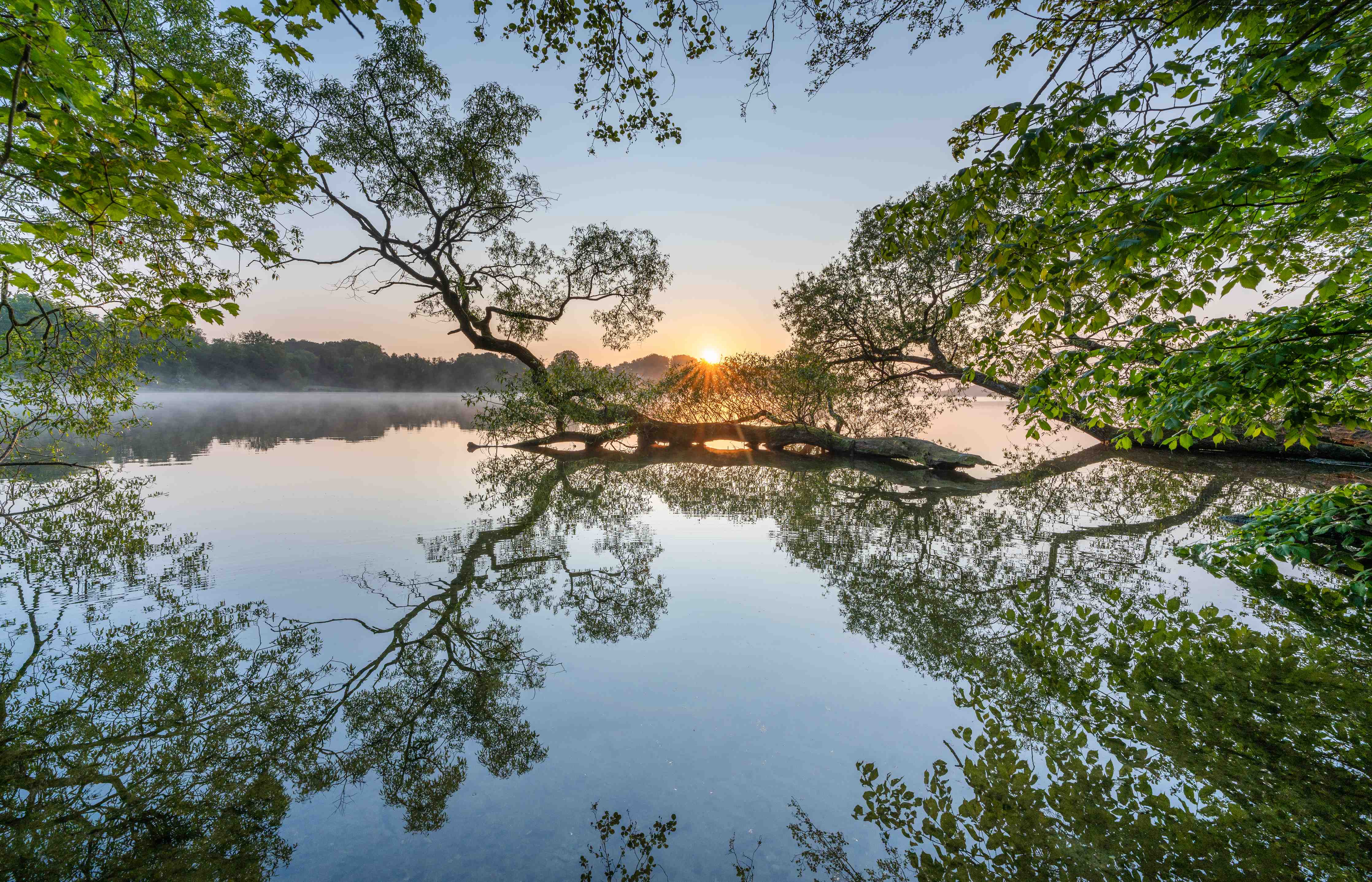 Große Wandbilder-Sonnenaufgang über dem ruhigen Fluss mit Baumreflexionen