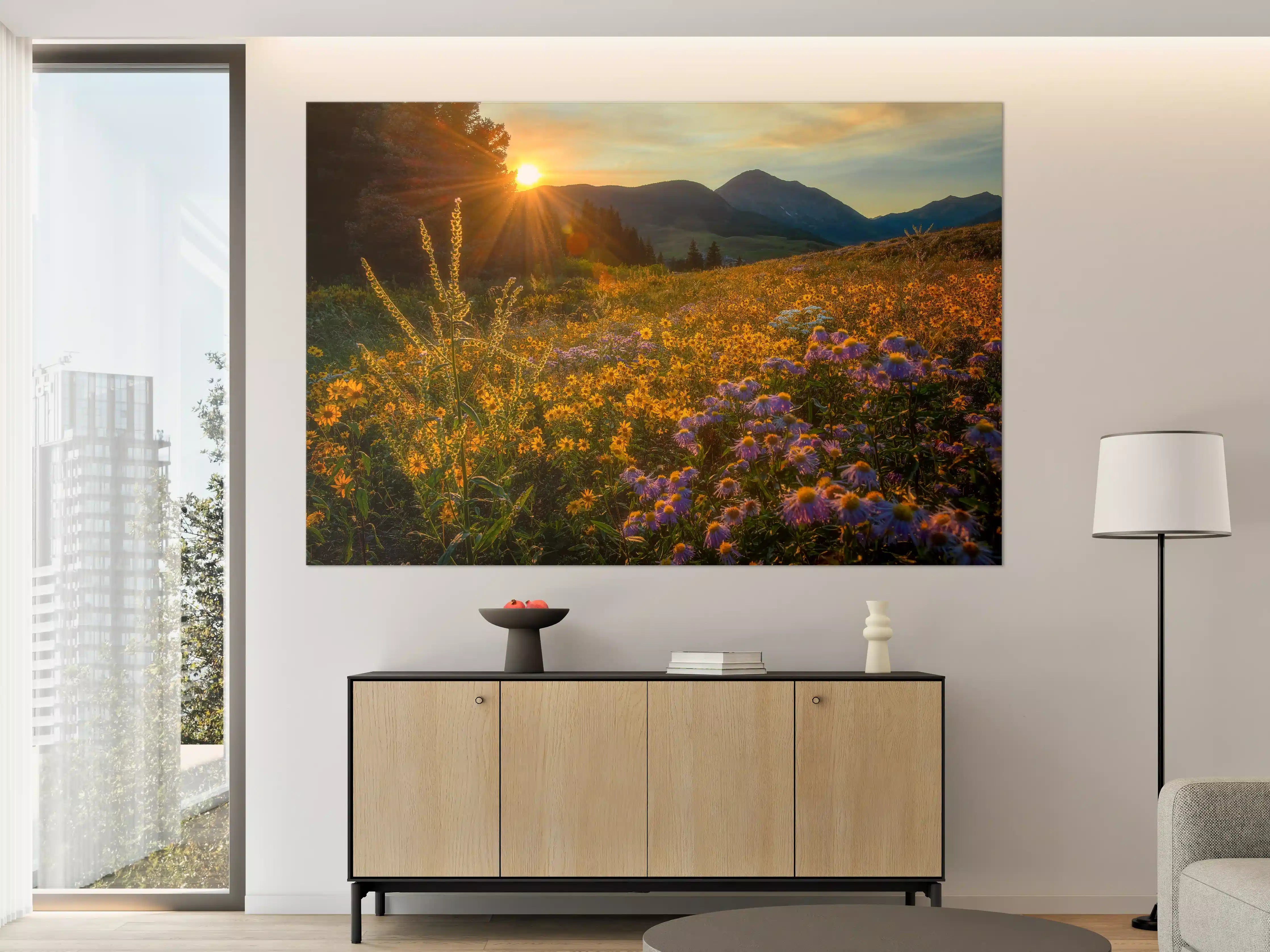 Große Wandbilder - Sonnenaufgang über einem Blumenfeld