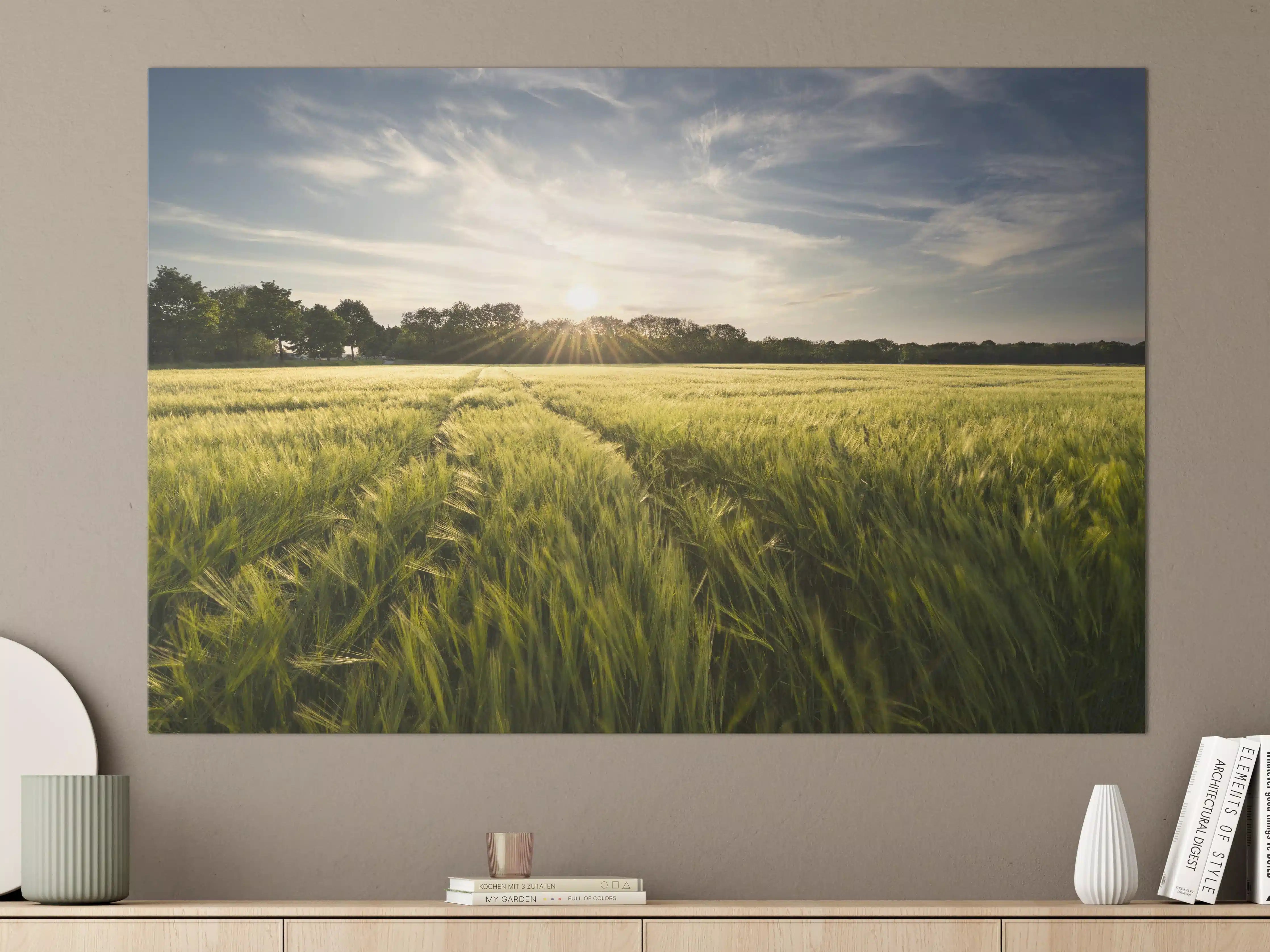 Große Wandbilder - Sonnenaufgang über einem grünen Feld