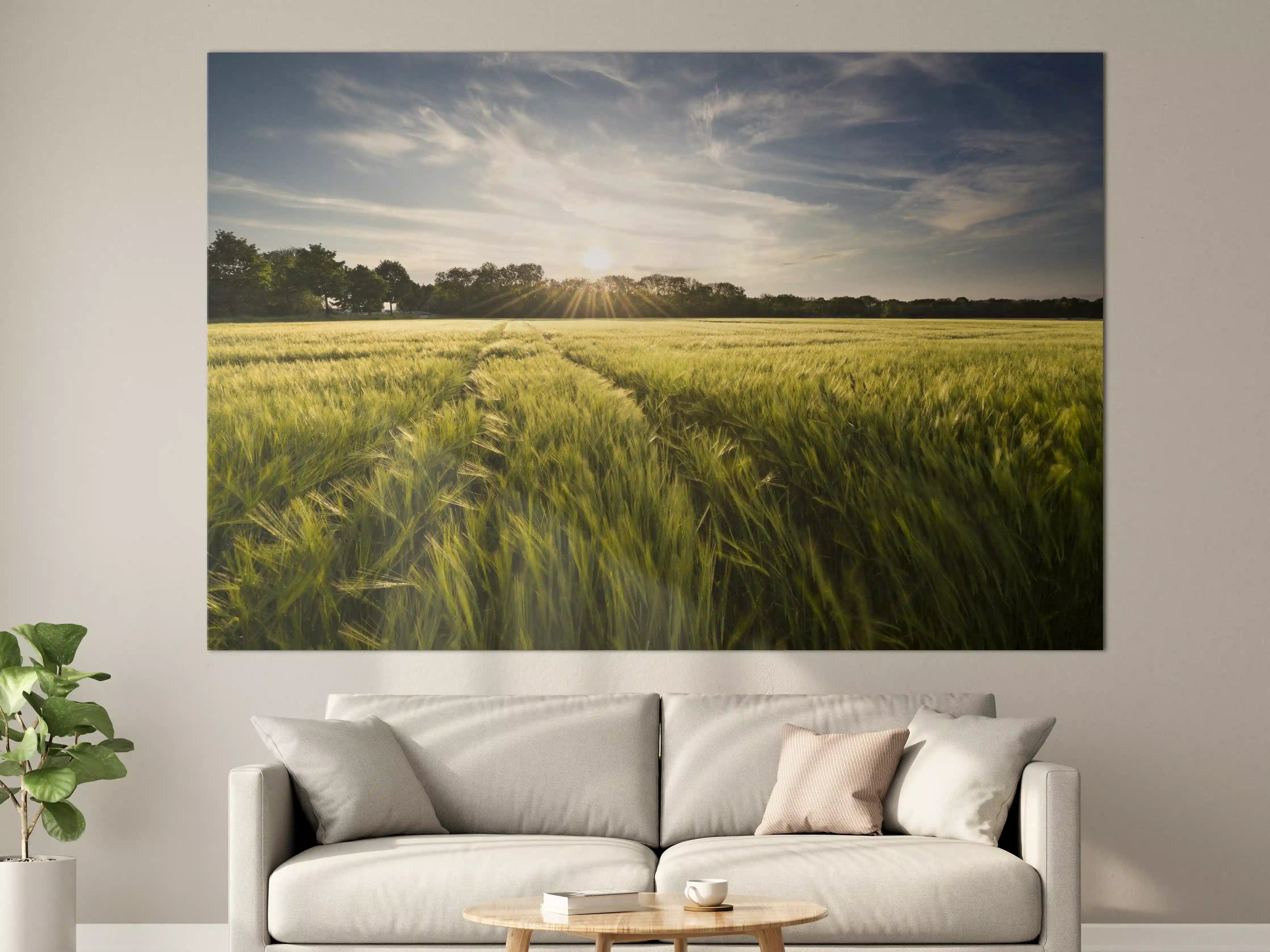 Große Wandbilder - Sonnenaufgang über einem grünen Feld