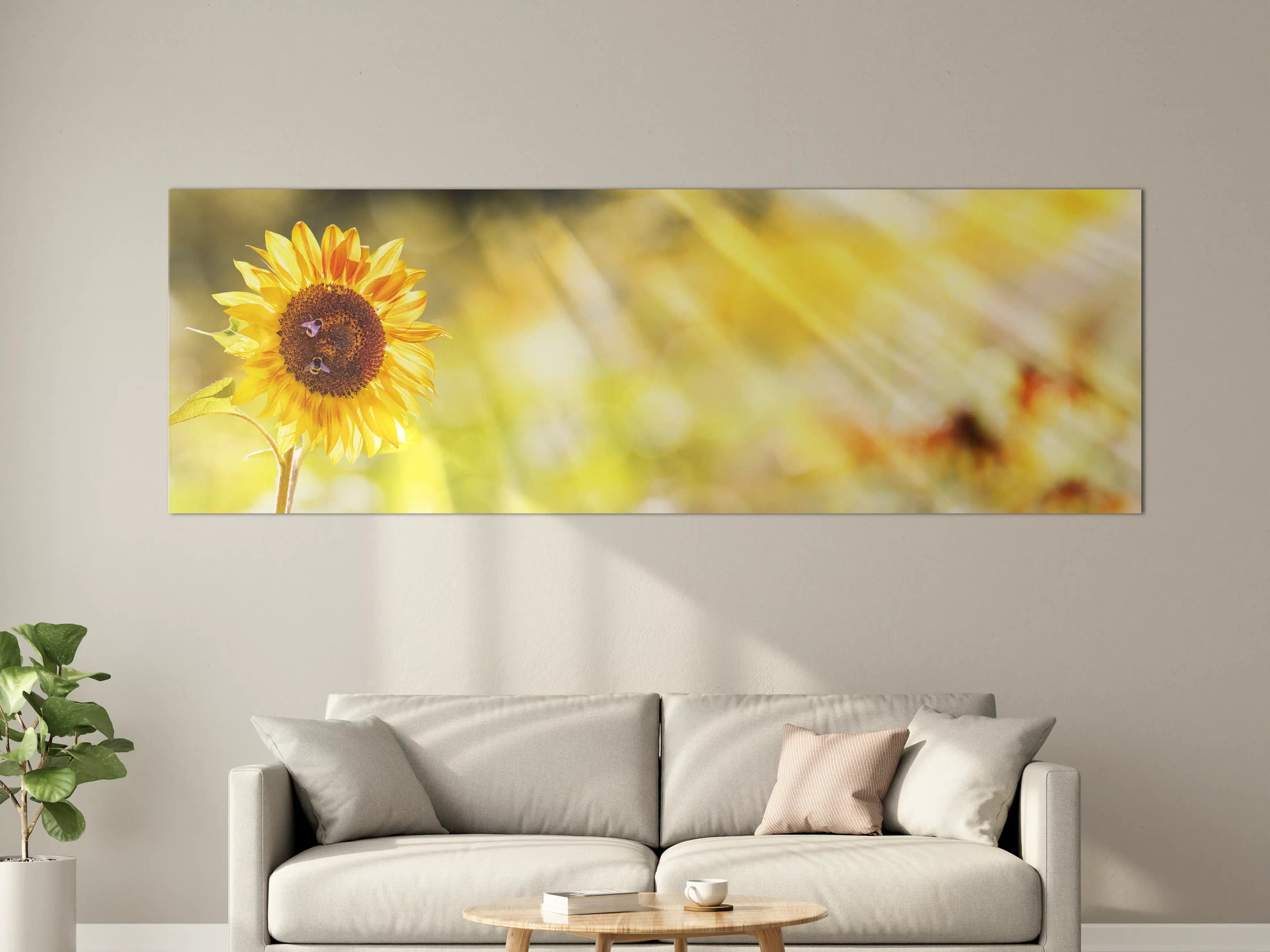 Große Wandbilder - Sonnenblume