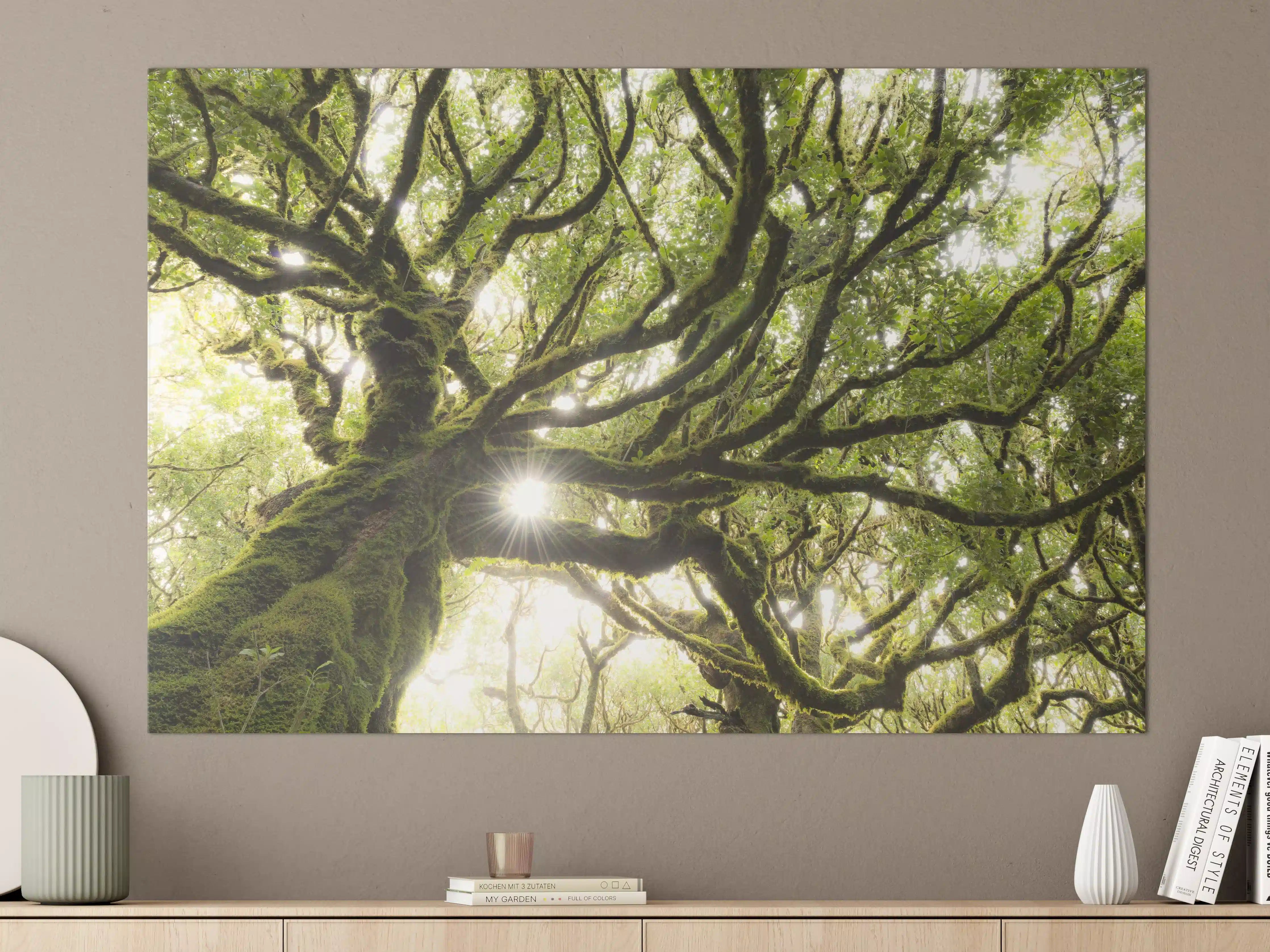 Große Wandbilder - Sonnenstrahlen im Wald