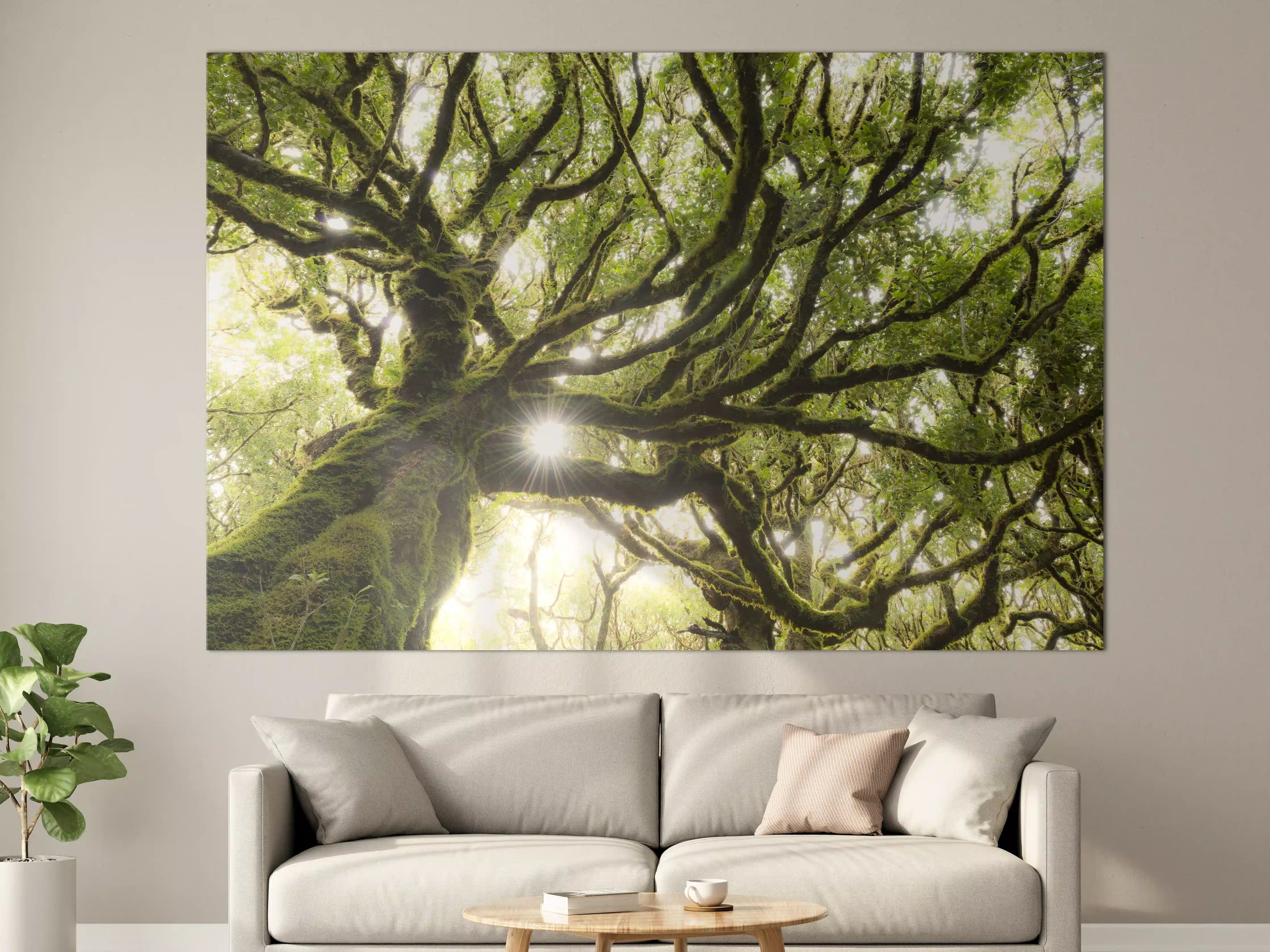 Große Wandbilder - Sonnenstrahlen im Wald