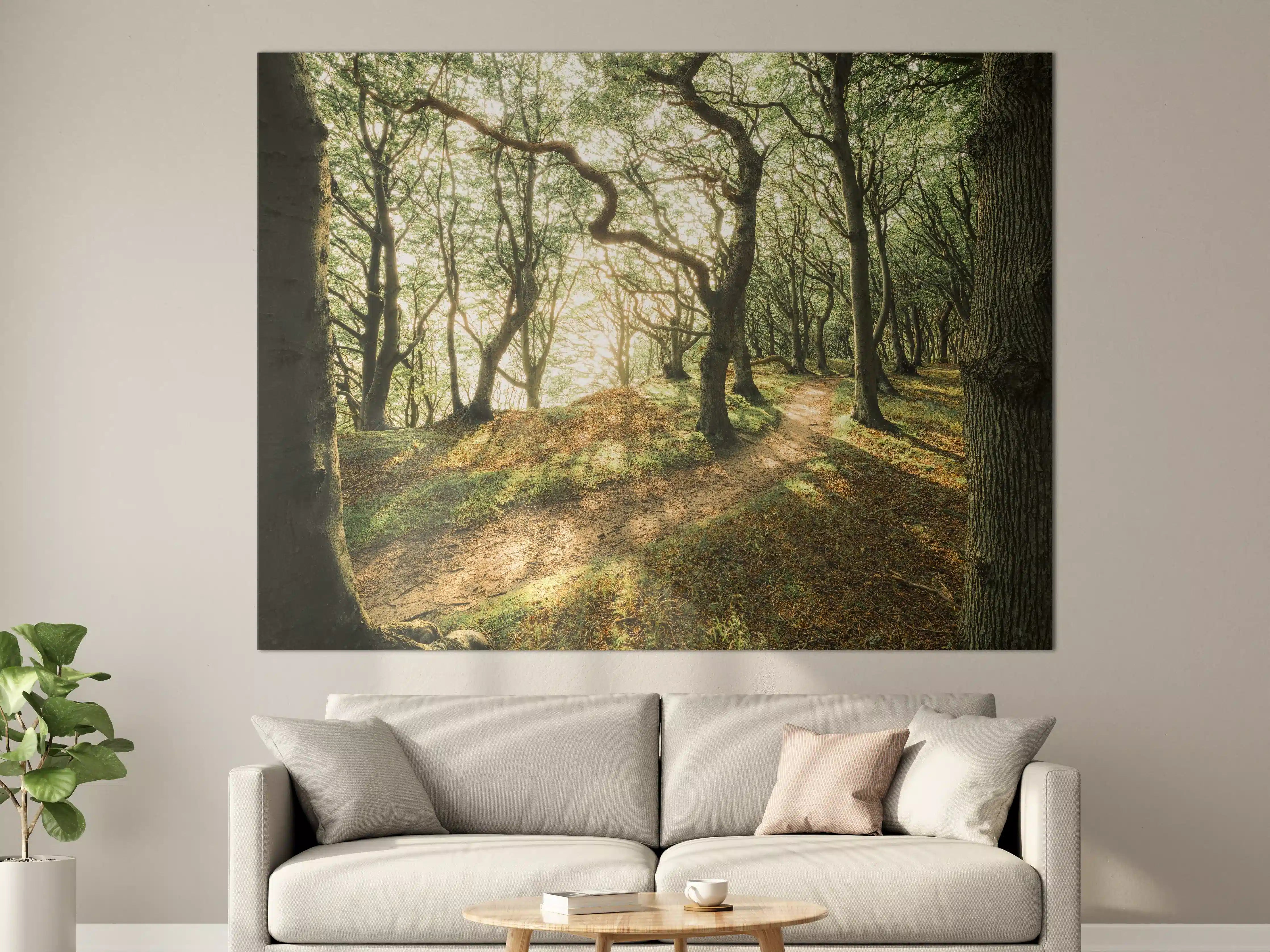 Große Wandbilder - Sonnenstrahlen im Waldweg