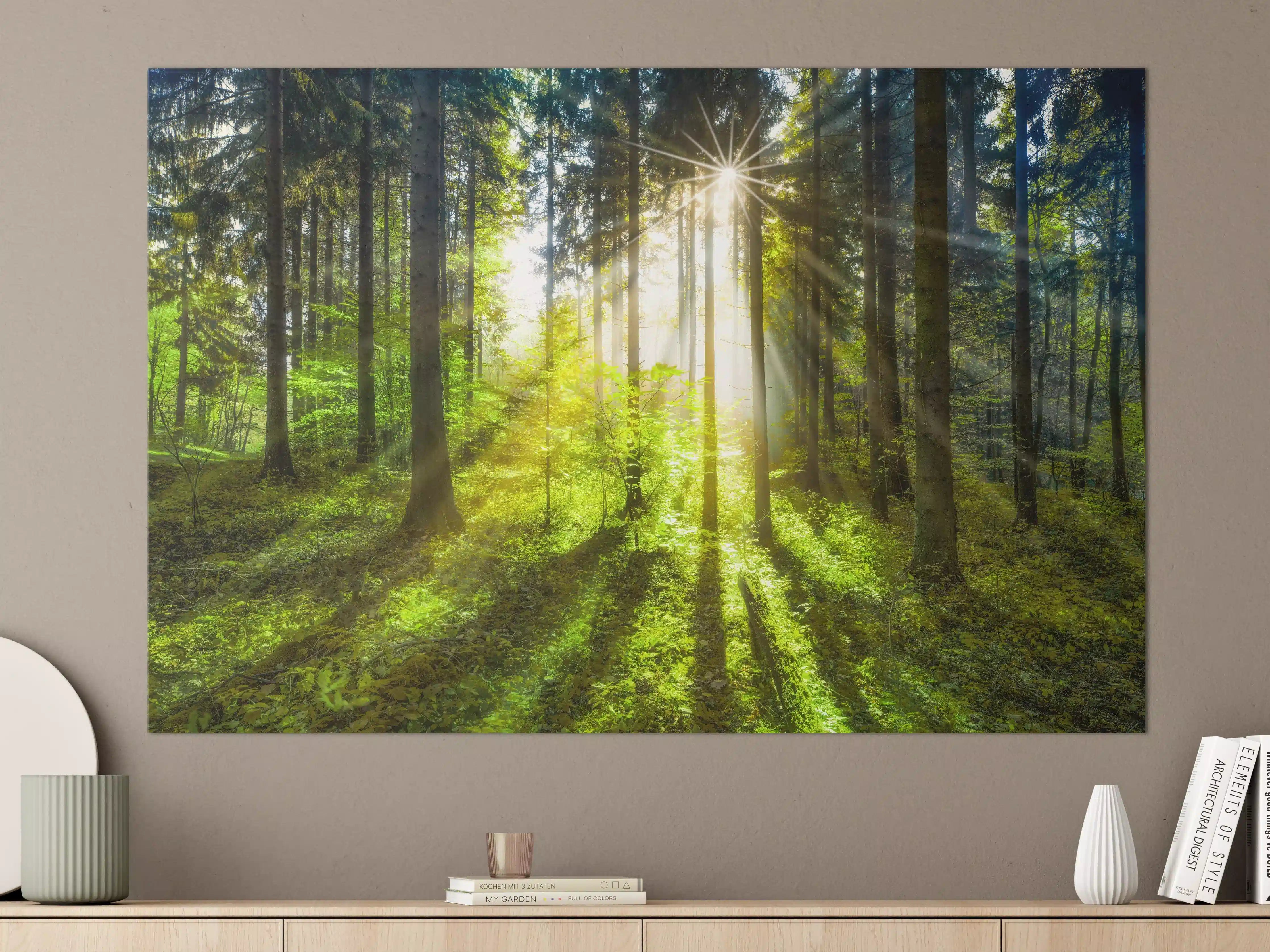 Große Wandbilder - Sonnenstrahlen im lebendigem Wald 