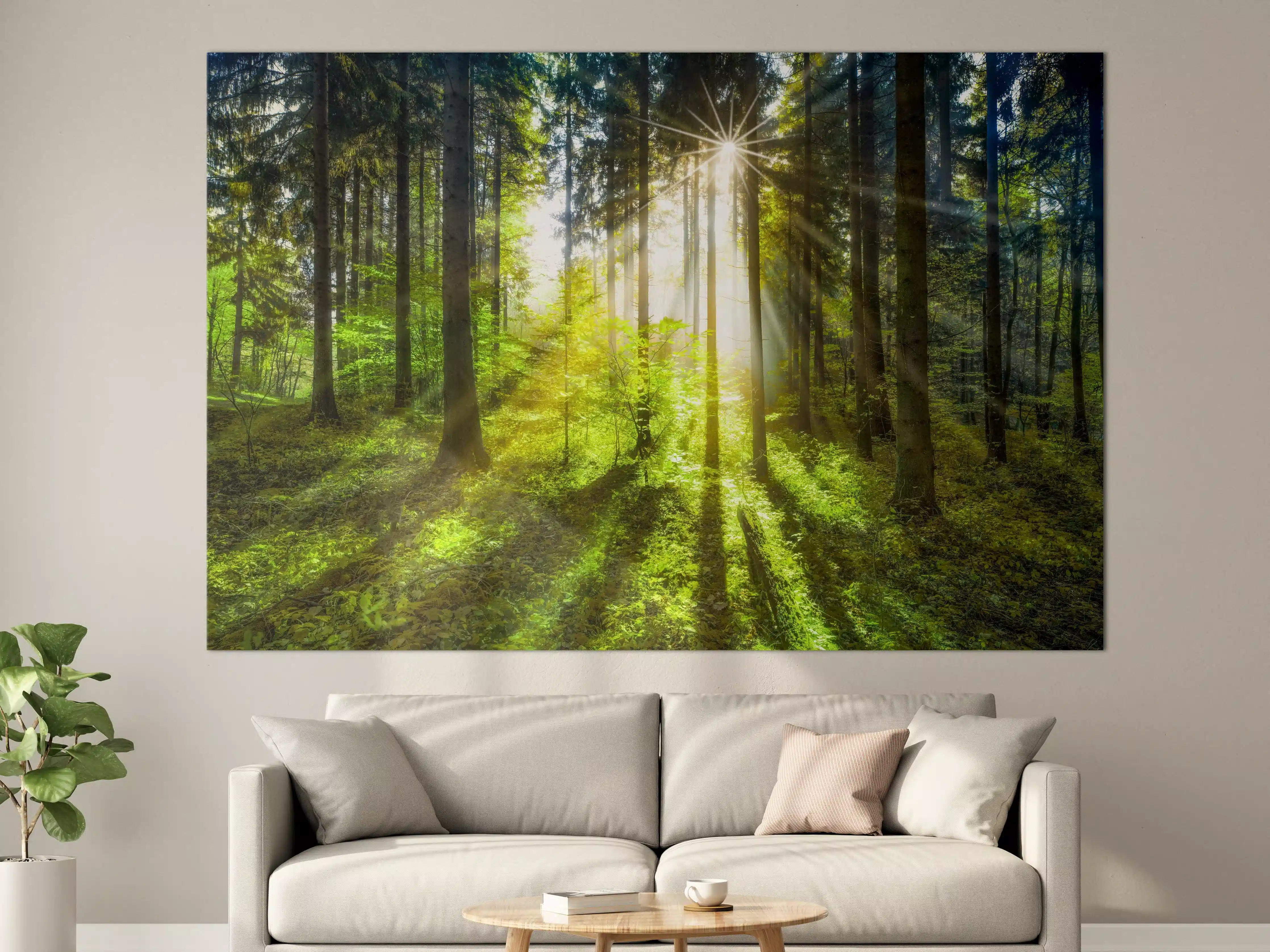 Große Wandbilder - Sonnenstrahlen im lebendigem Wald 